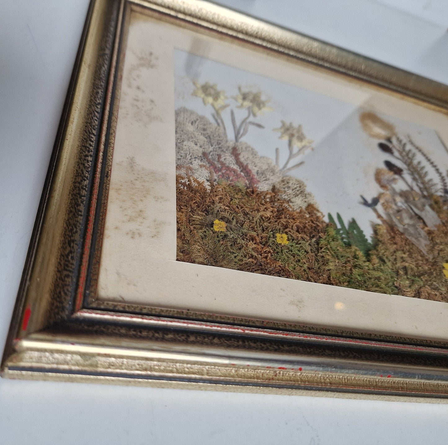 Antique Edelweiss 3D Diorama, Austrian Alps Painting (1900-1940)