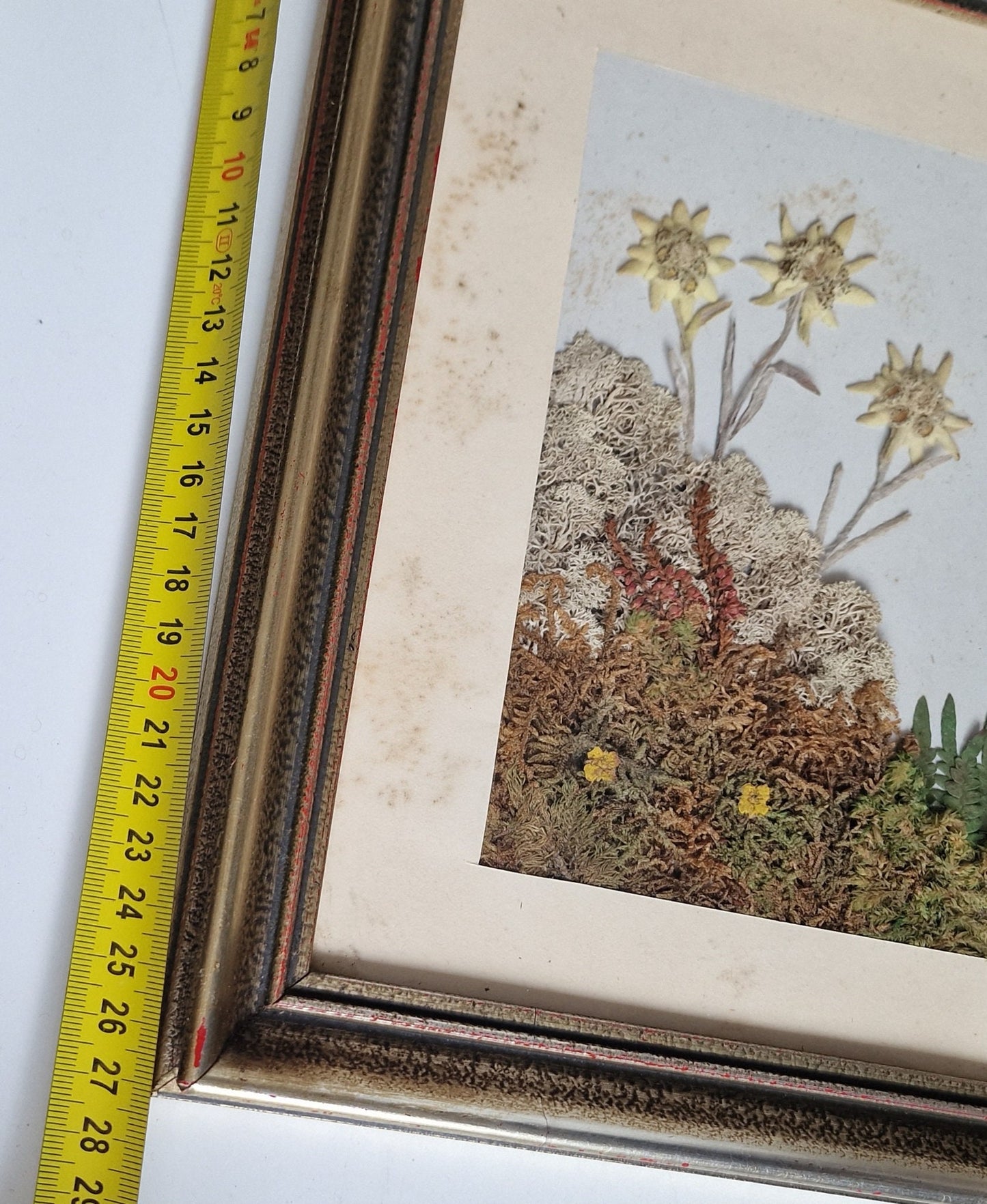 Antique Edelweiss 3D Diorama, Austrian Alps Painting (1900-1940)