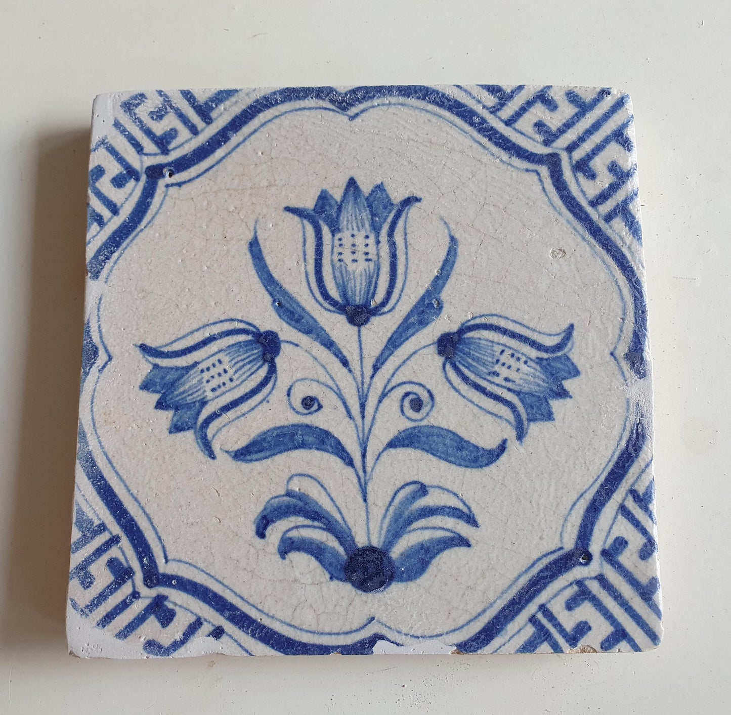 Antieke 17e eeuwse Delft tulpentegel  , antique dutch tile 17th