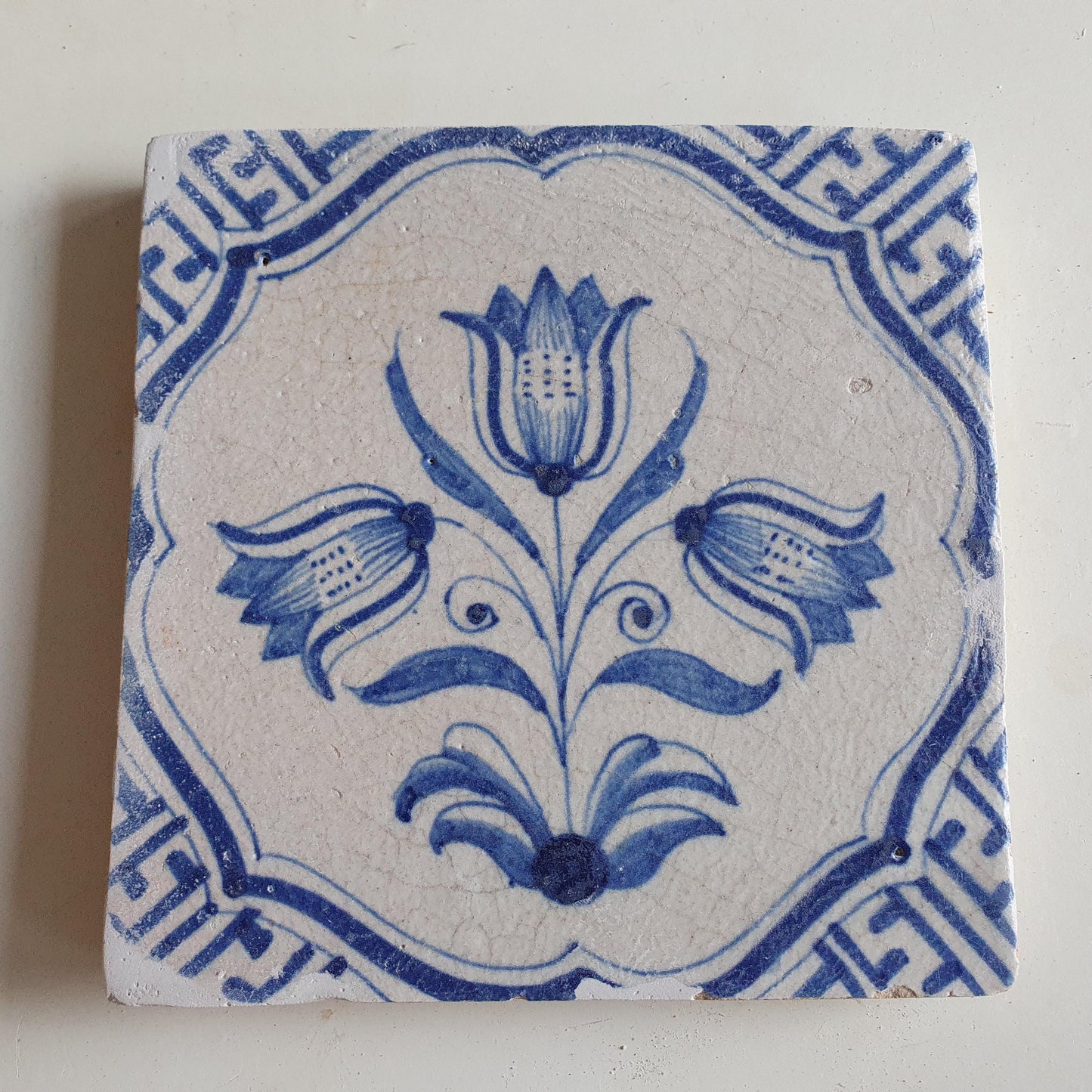 Antieke 17e eeuwse Delft tulpentegel  , antique dutch tile 17th