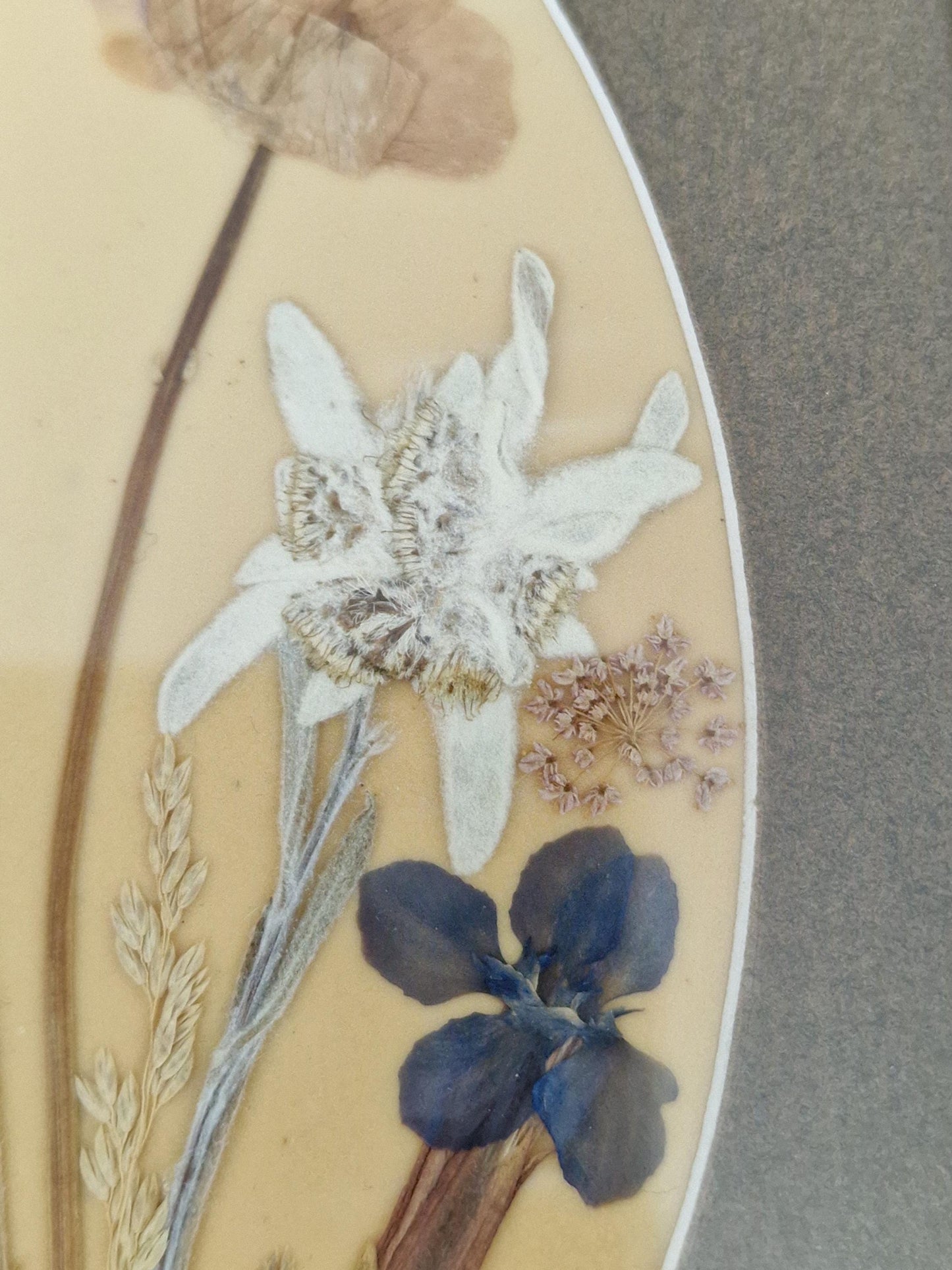 Vintage Edelweiss Painting, Mid-Century Alpen Floral Art, Framed