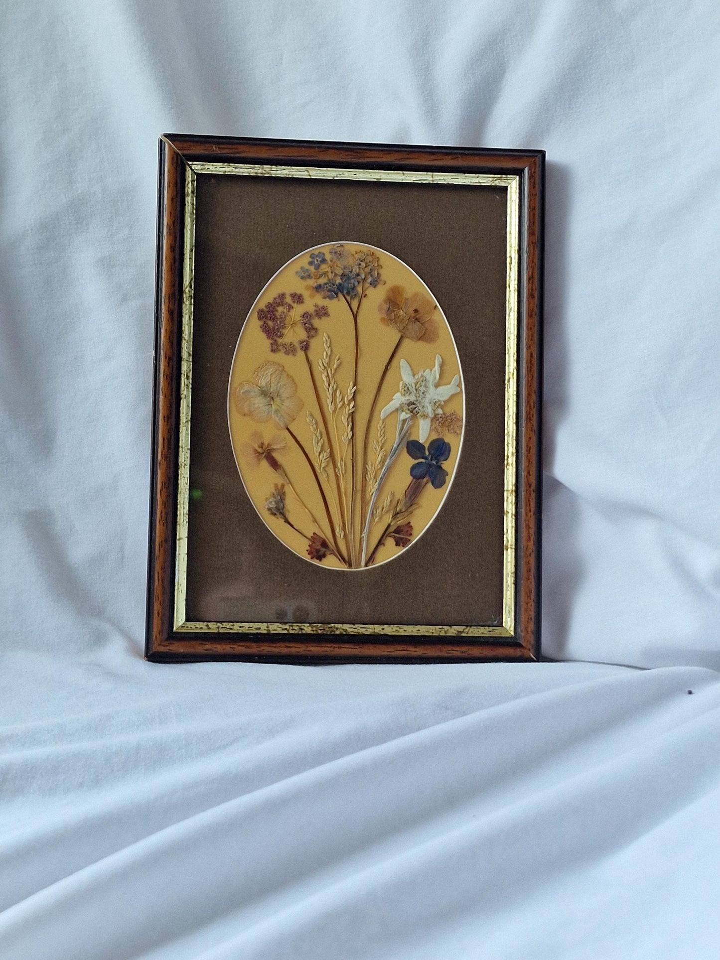 Vintage Edelweiss Painting, Mid-Century Alpen Floral Art, Framed