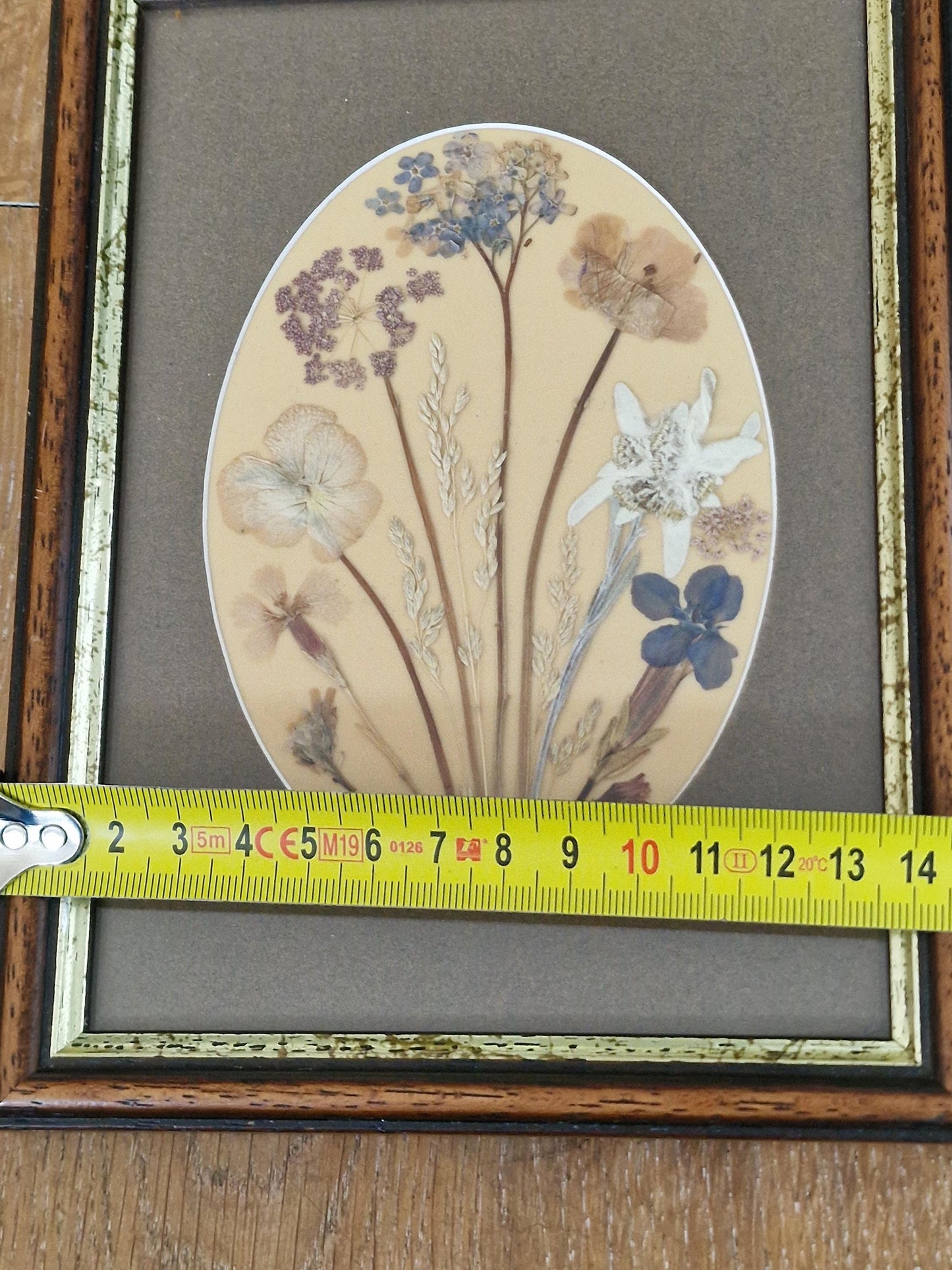 Vintage Edelweiss Painting, Mid-Century Alpen Floral Art, Framed