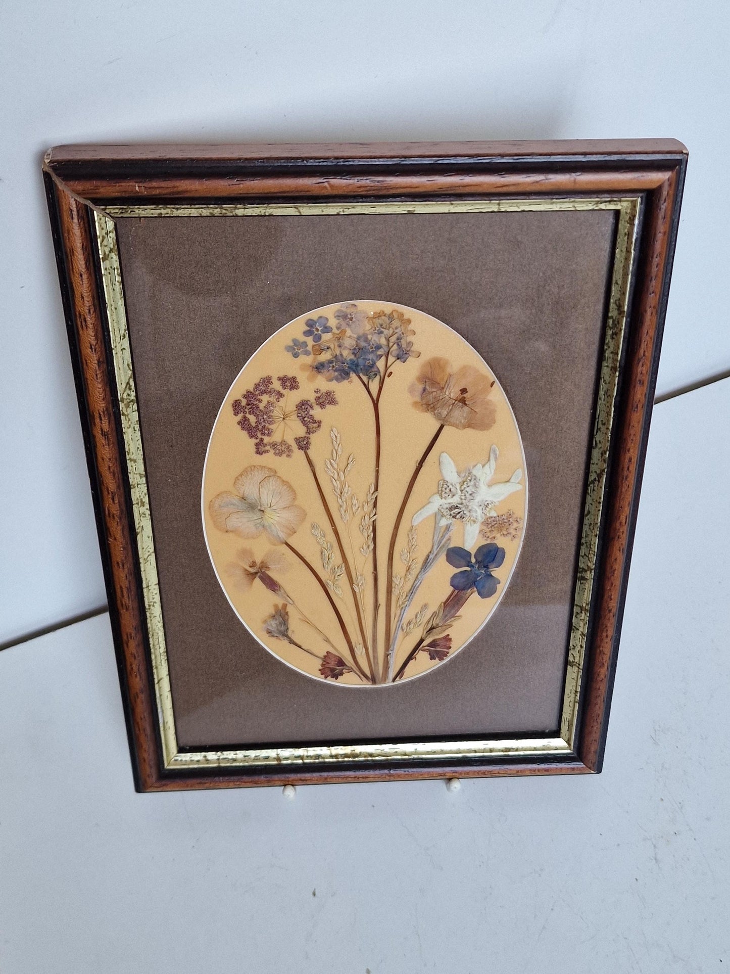 Vintage Edelweiss Painting, Mid-Century Alpen Floral Art, Framed