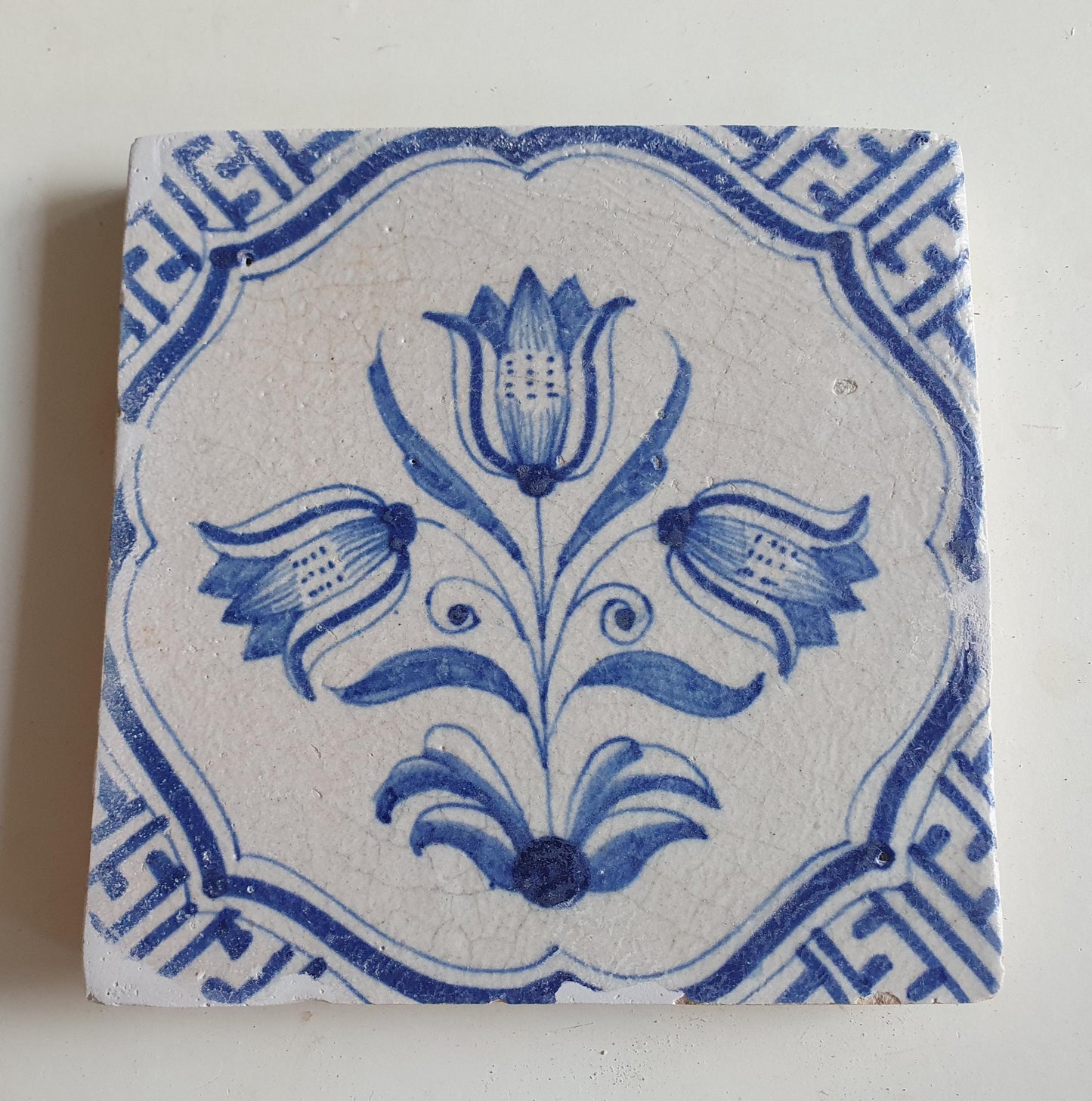 Antieke 17e eeuwse Delft tulpentegel  , antique dutch tile 17th
