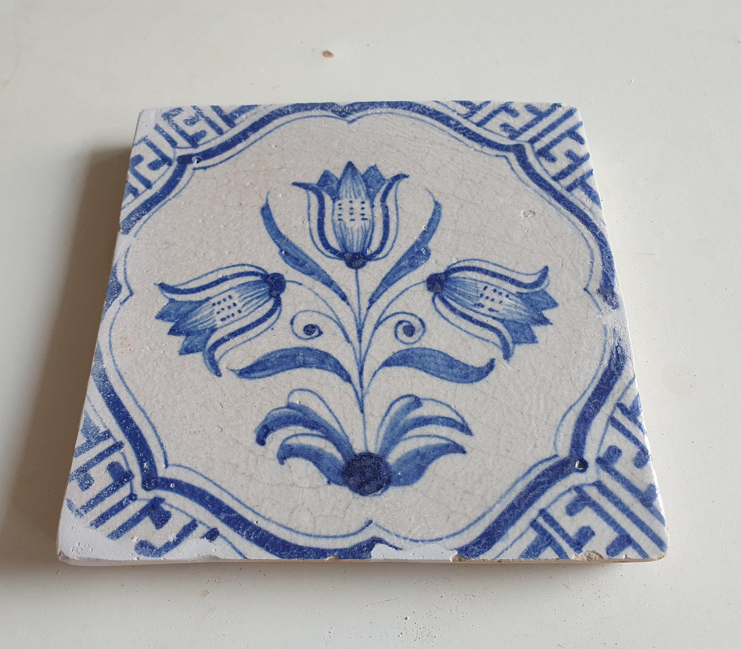 Antieke 17e eeuwse Delft tulpentegel  , antique dutch tile 17th