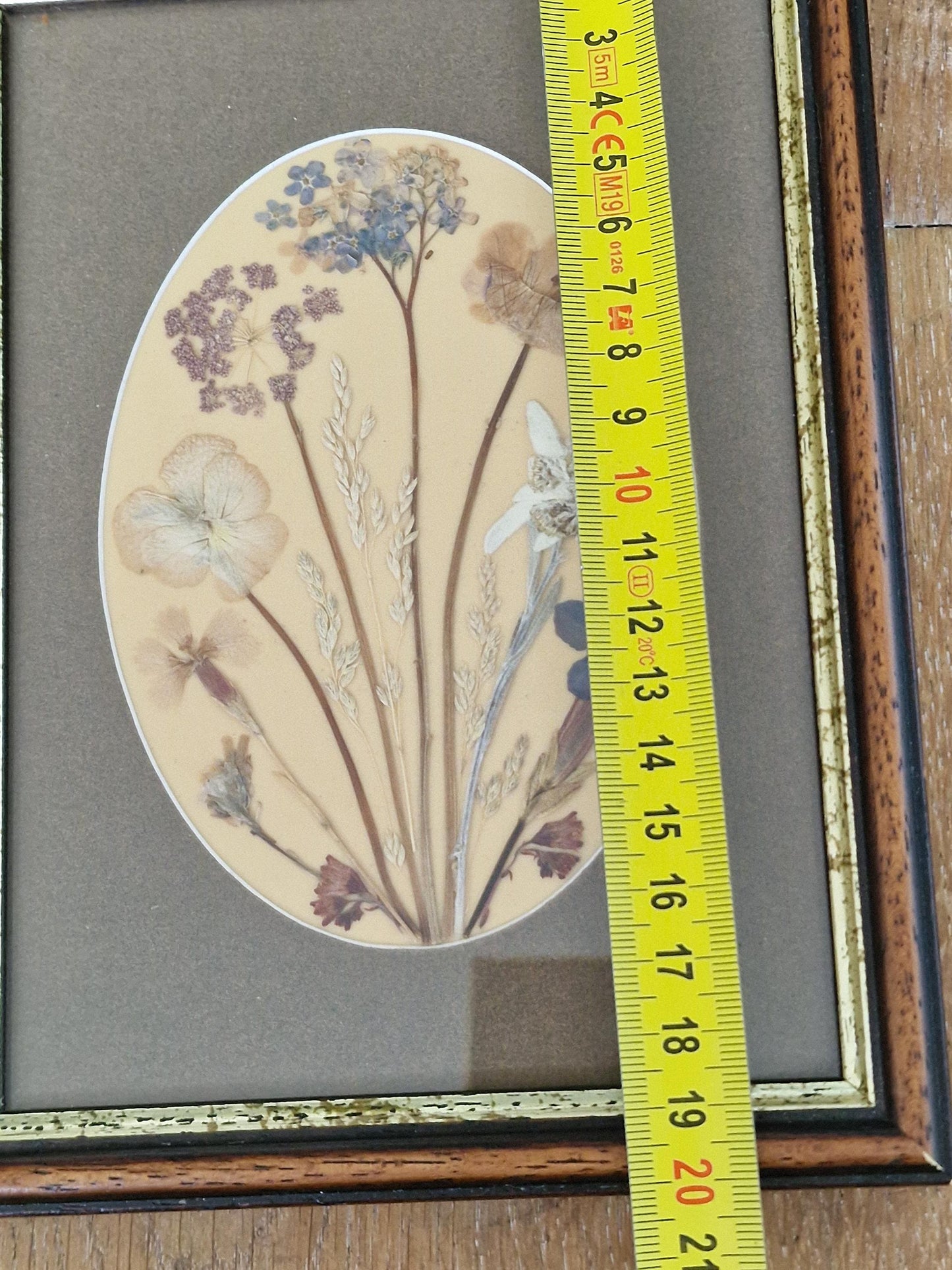 Vintage Edelweiss Painting, Mid-Century Alpen Floral Art, Framed