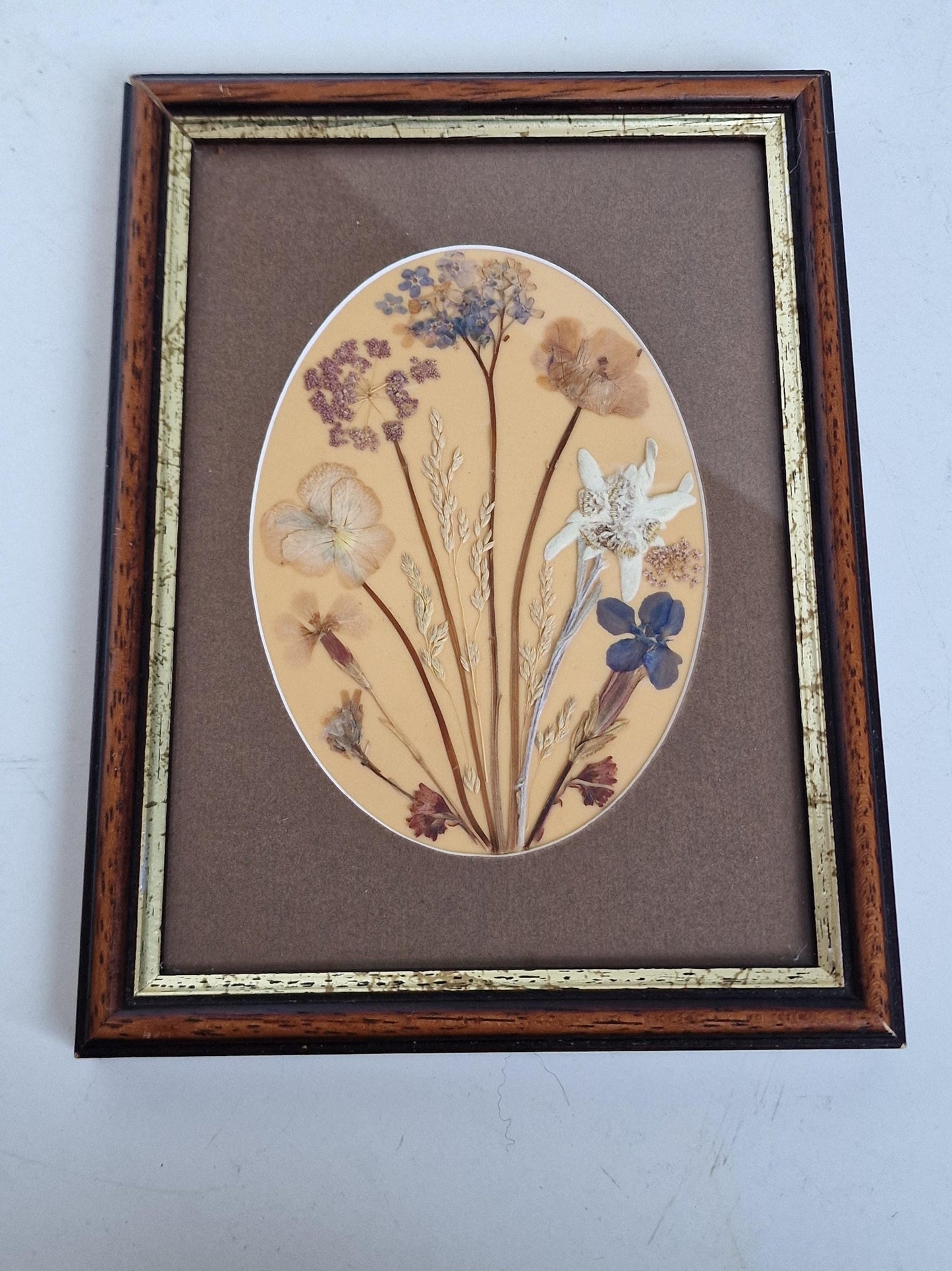 Vintage Edelweiss Painting, Mid-Century Alpen Floral Art, Framed