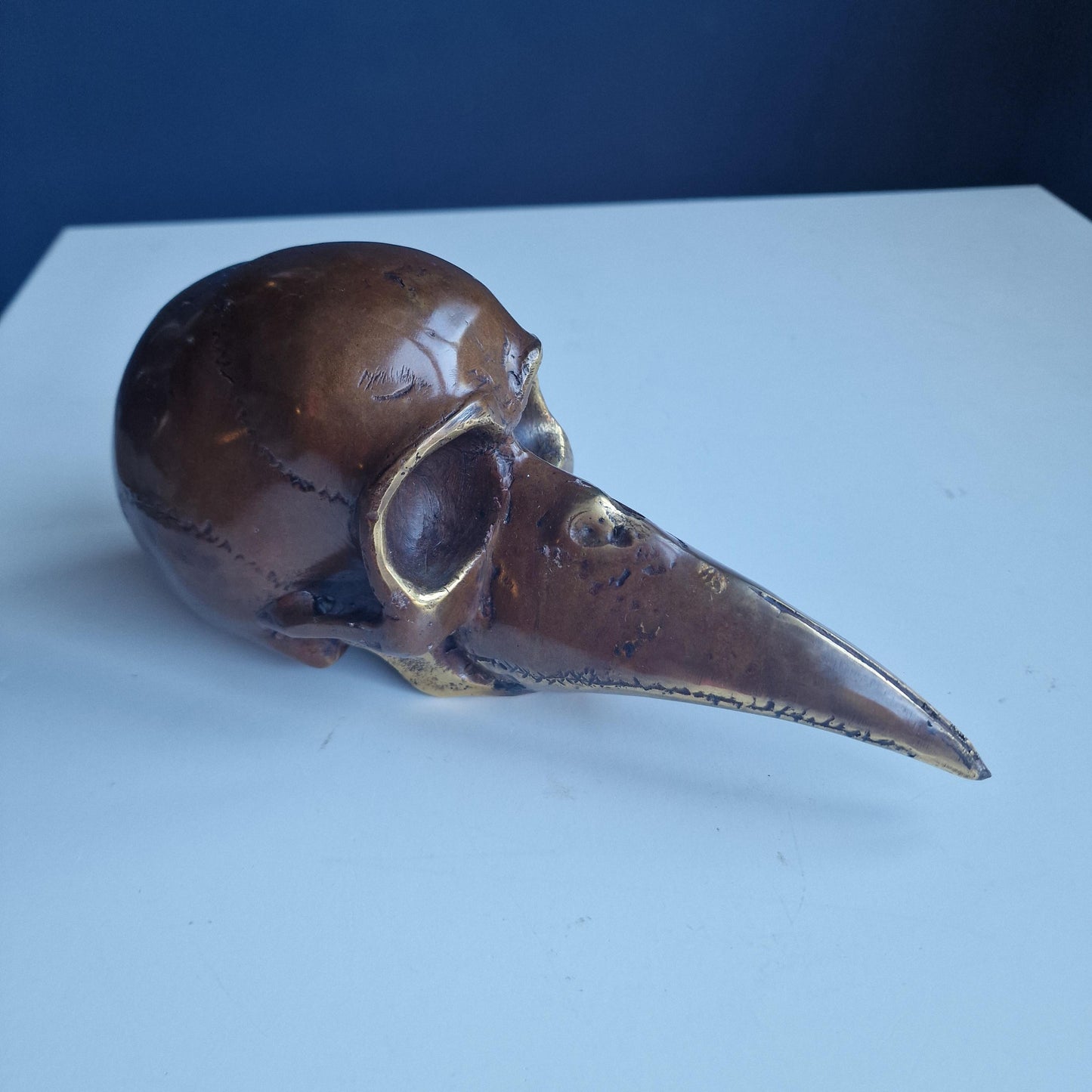 plaque doctor bronze skull pest masker bronzen raven schedel