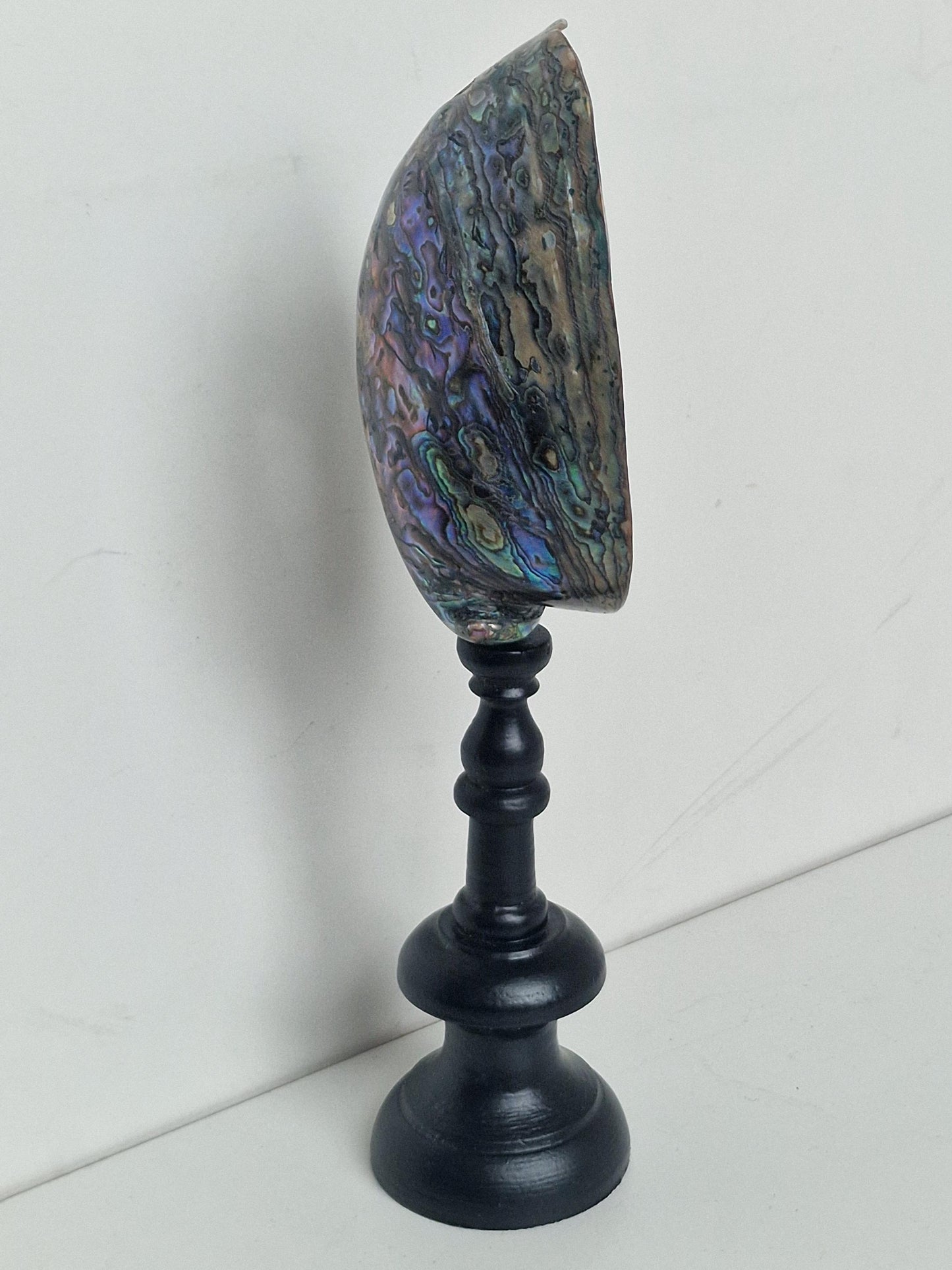 Antique Abalone Shell on Wood Stand, Library Decor