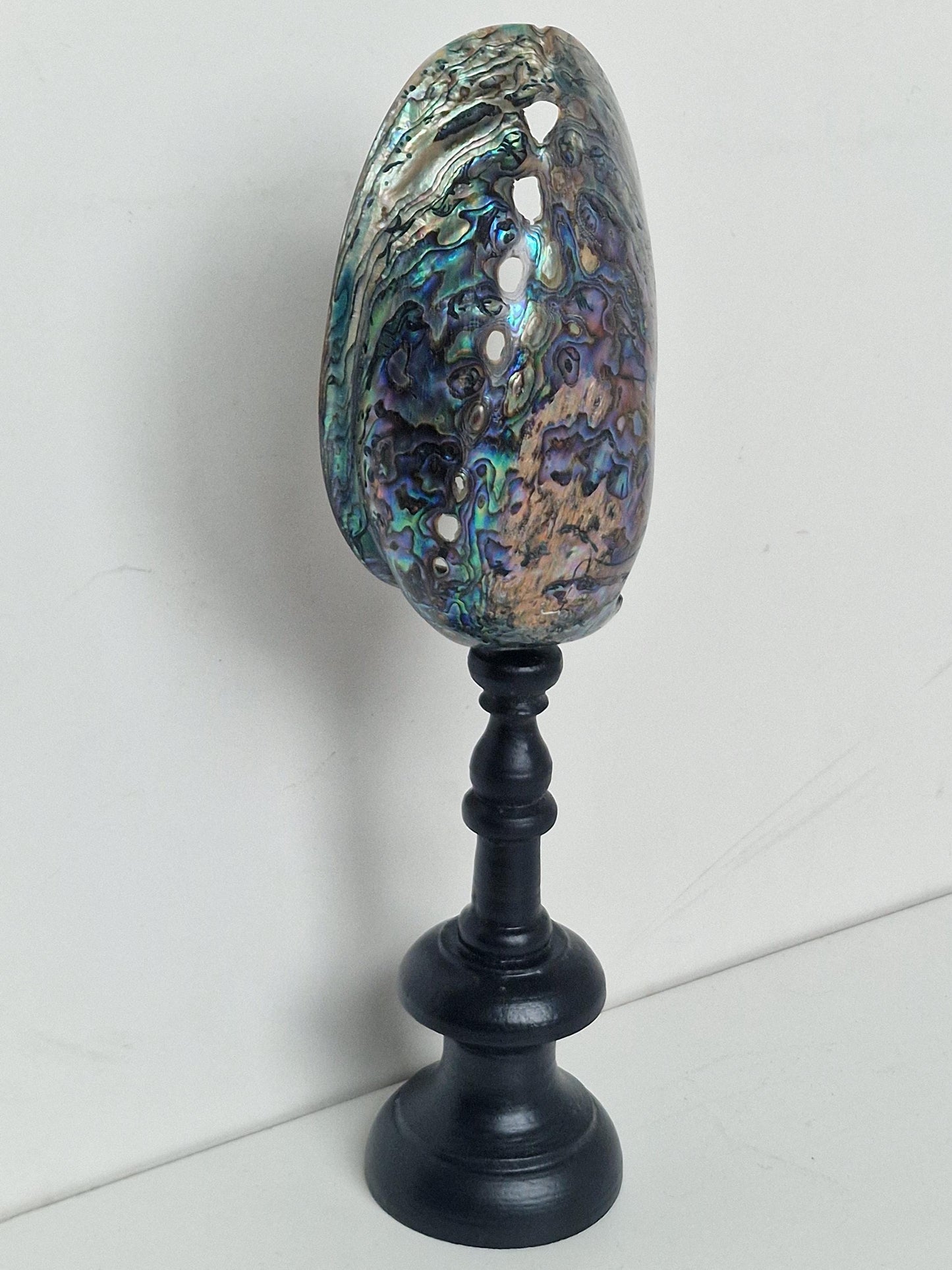 Antique Abalone Shell on Wood Stand, Library Decor