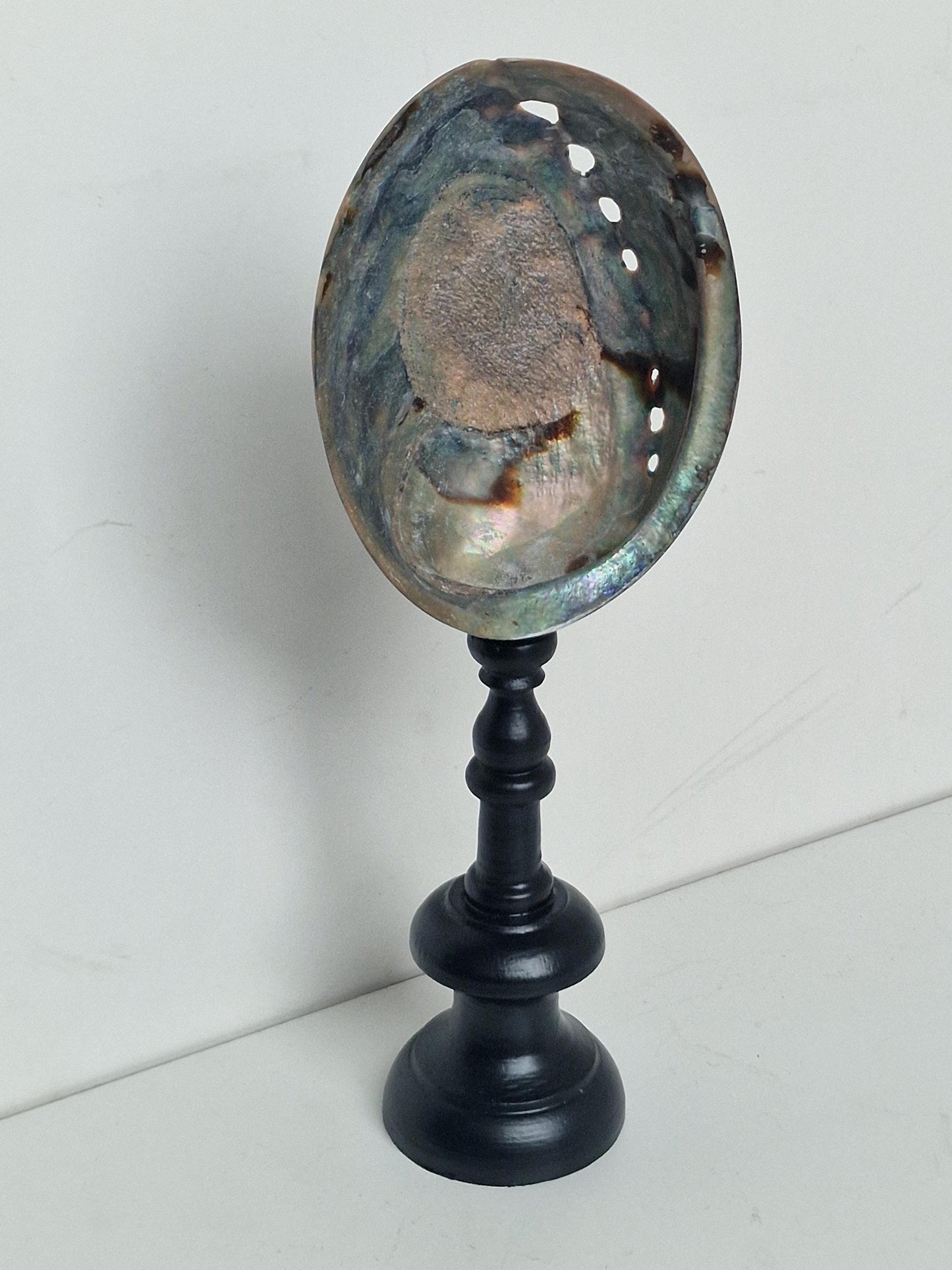 Antique Abalone Shell on Wood Stand, Library Decor