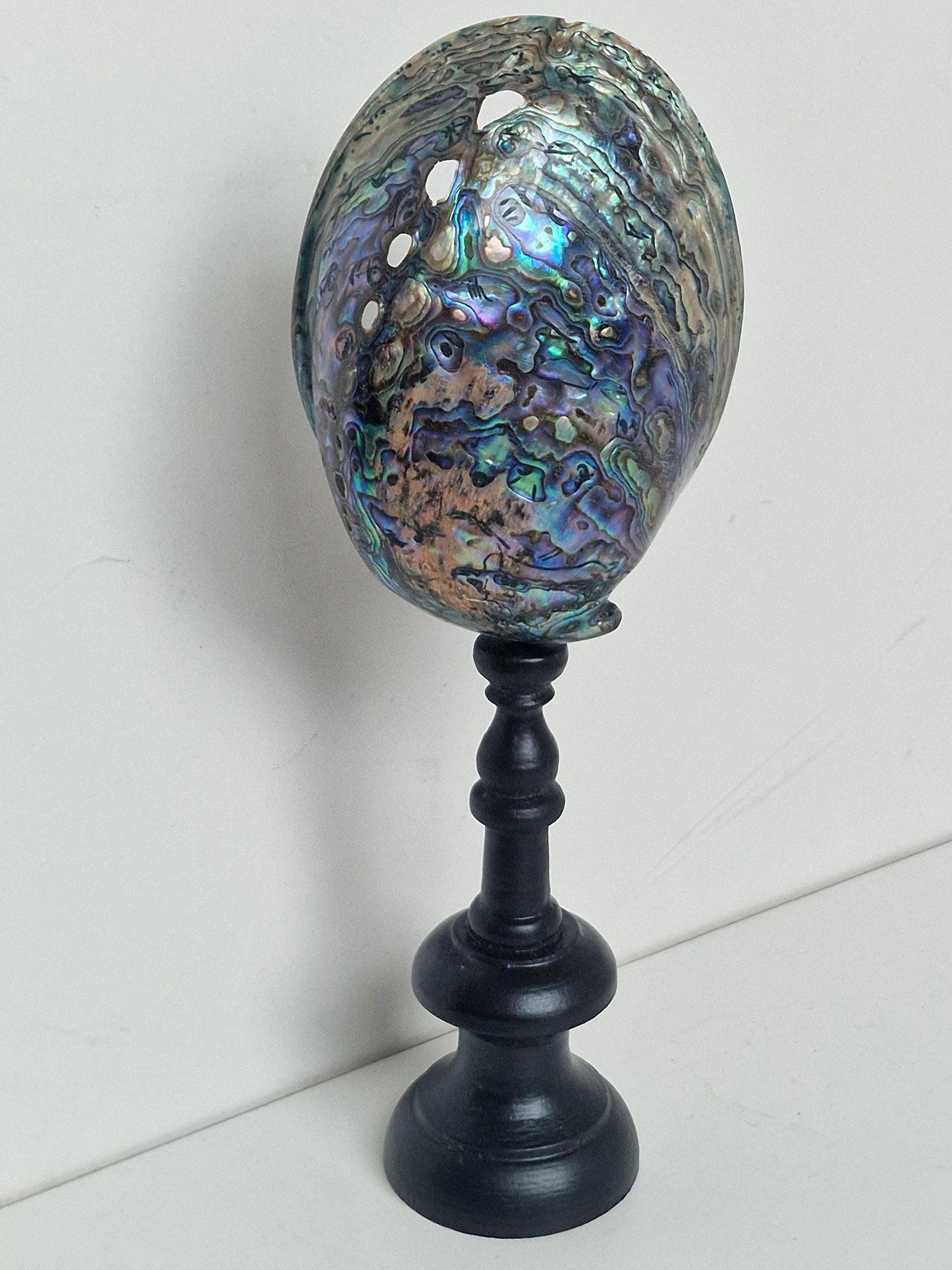 Antique Abalone Shell on Wood Stand, Library Decor