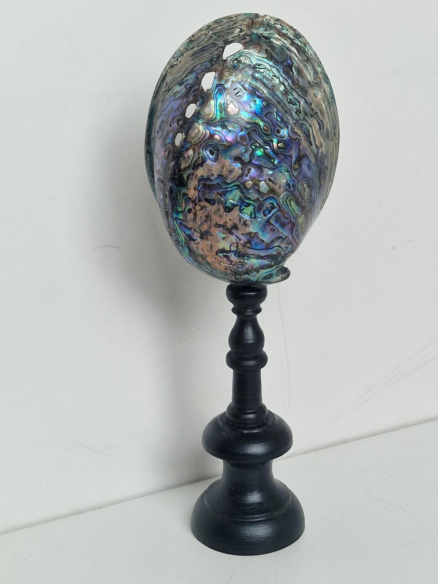 Antique Abalone Shell on Wood Stand, Library Decor