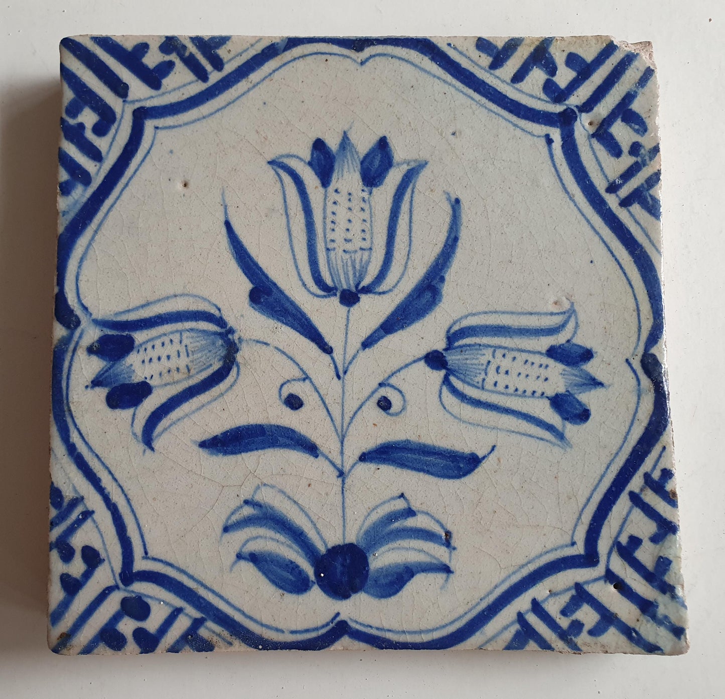 Antieke 17e eeuwse Delft tulpentegel  , antique dutch tile    th1620