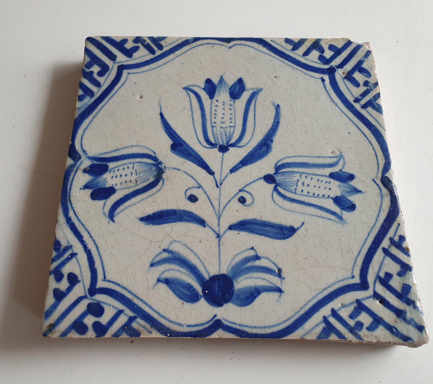 Antieke 17e eeuwse Delft tulpentegel  , antique dutch tile    th1620