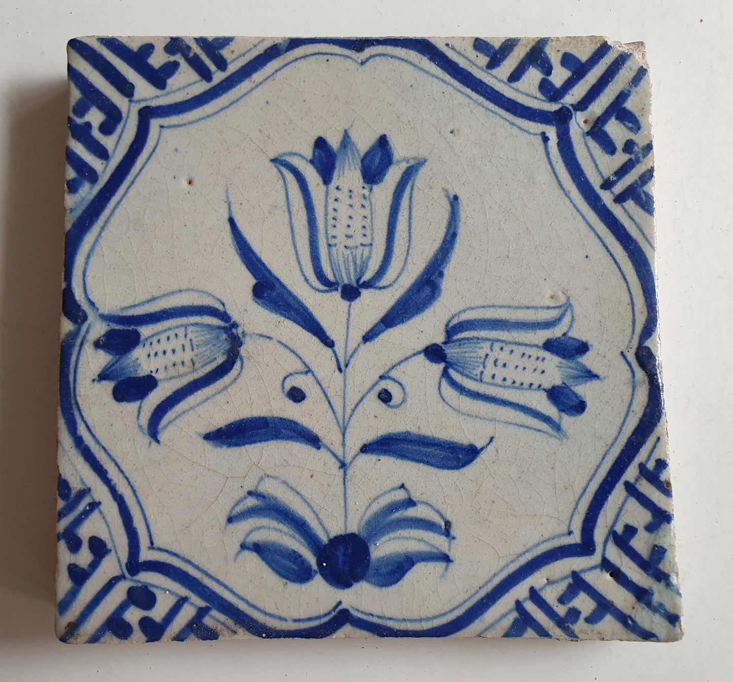 Antieke 17e eeuwse Delft tulpentegel  , antique dutch tile    th1620