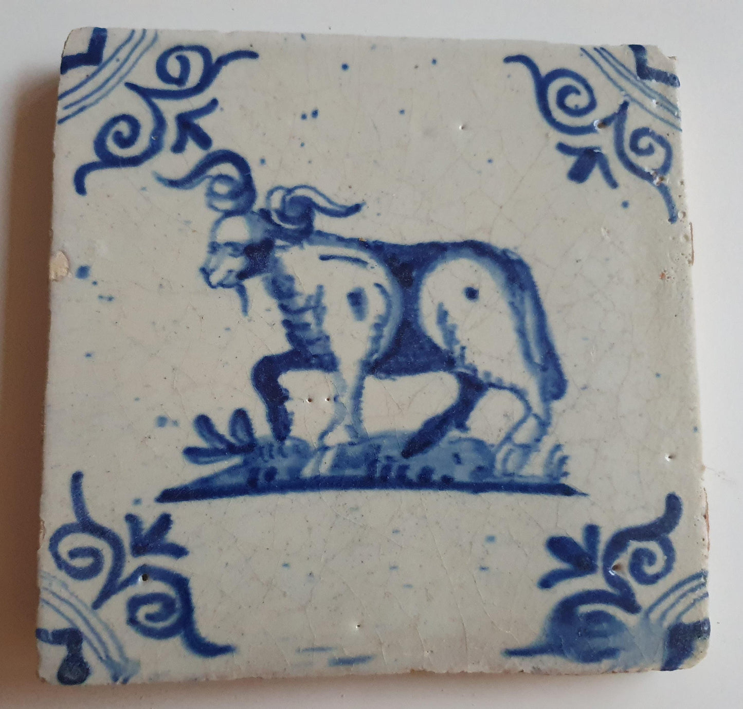 17th century Antique Dutch Tile animal buck oxhead motive delft blue holland tile  beauty