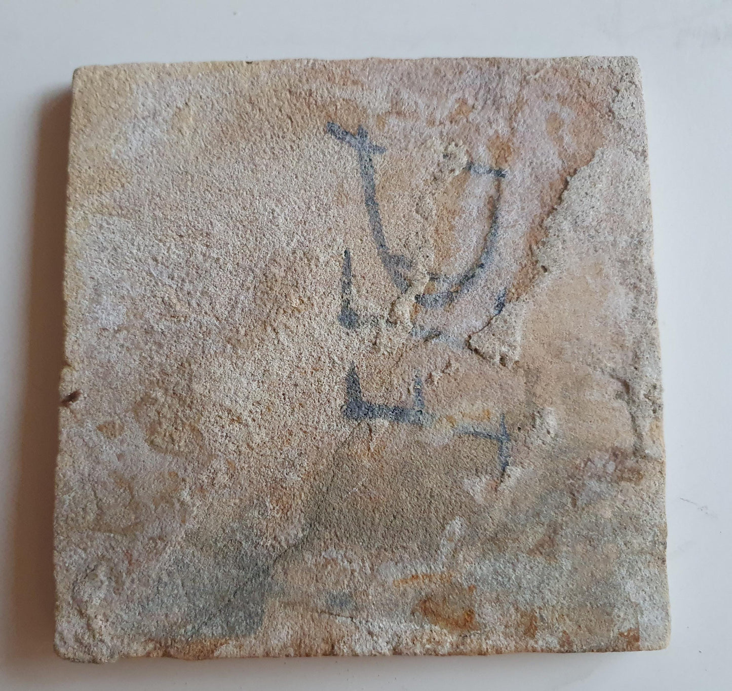 17th century Antique Dutch Tile animal buck oxhead motive delft blue holland tile  beauty