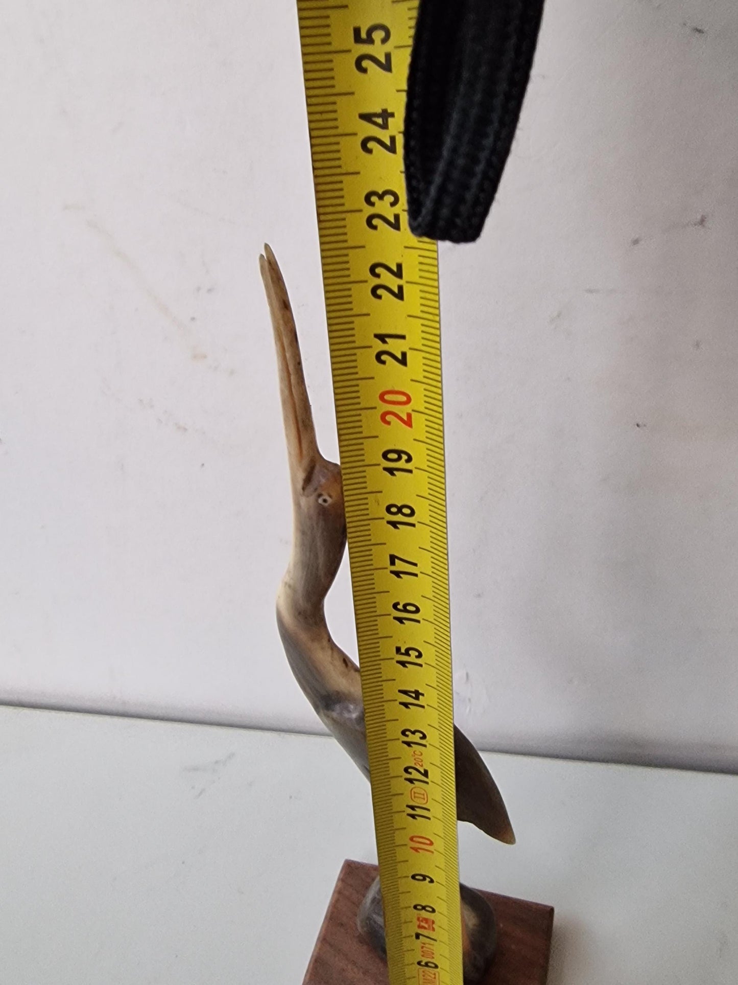 bone crane bird old