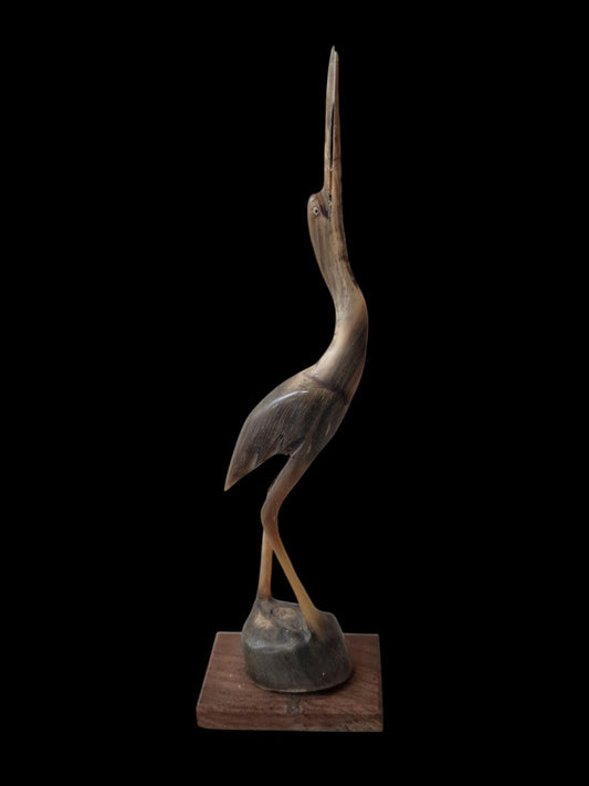 bone crane bird old