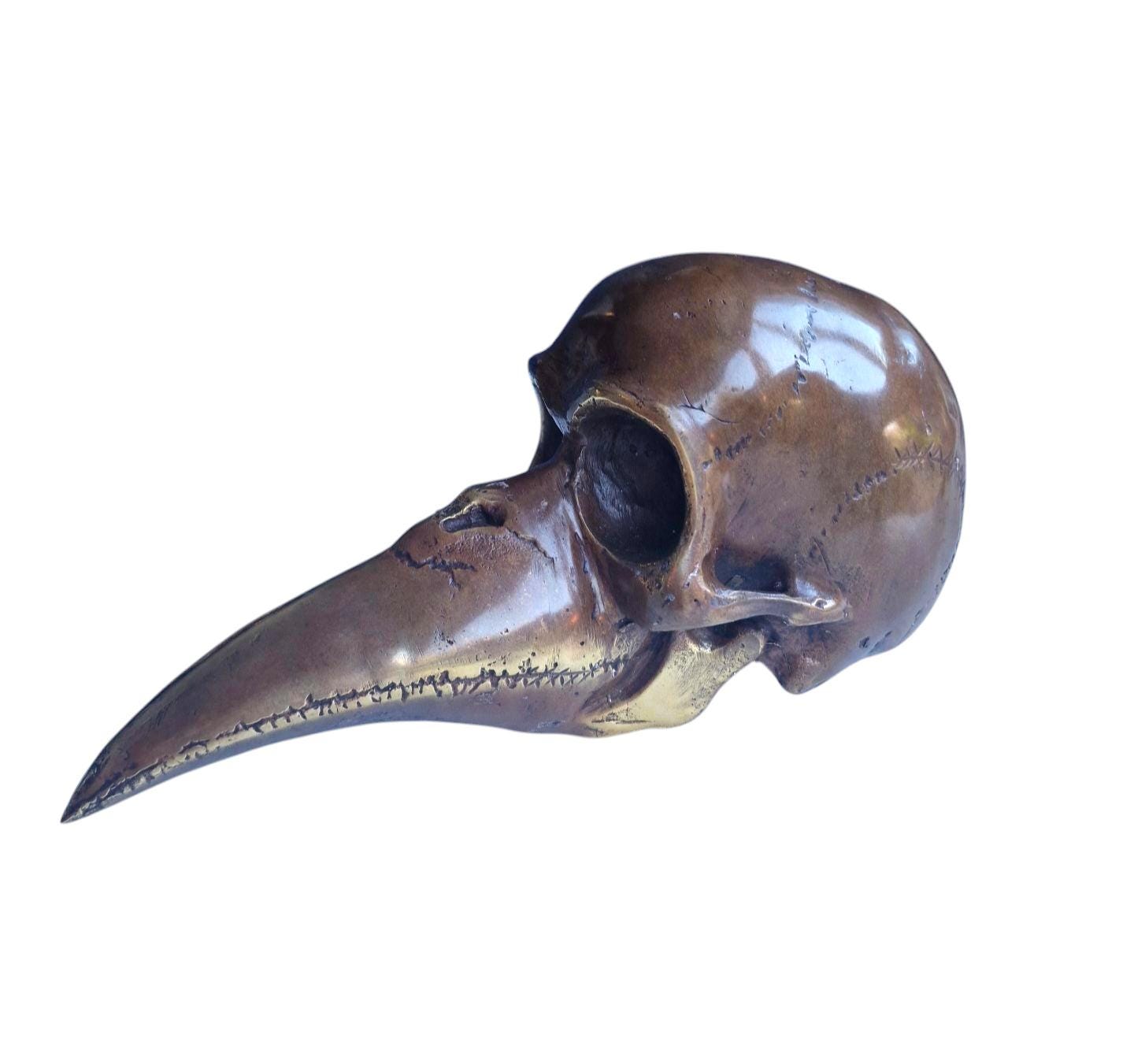 plaque doctor bronze skull pest masker bronzen raven schedel