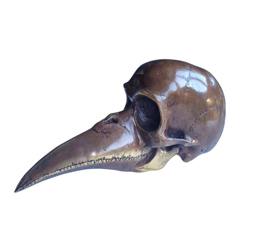 plaque doctor bronze skull pest masker bronzen raven schedel