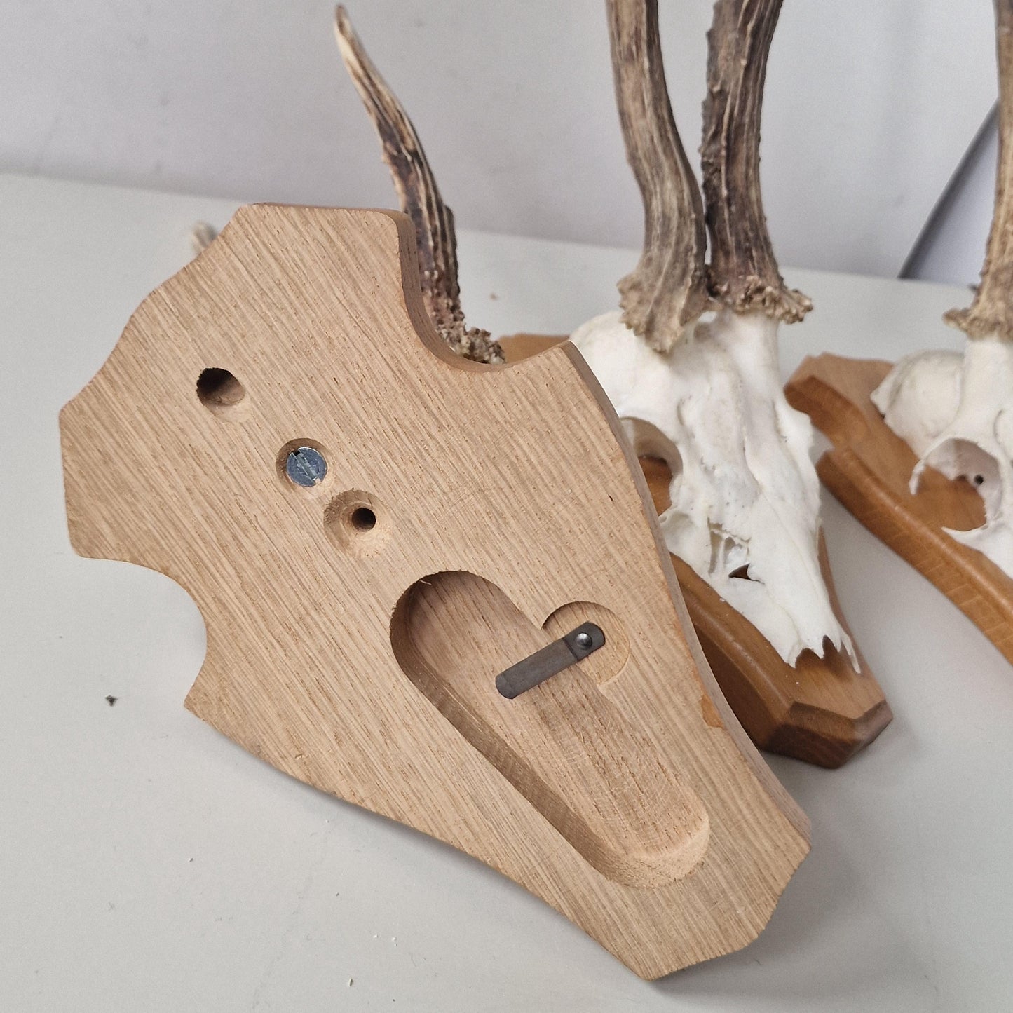 Deer Antler Mounts on Wood Shield, Hunting Decor (Set of 3)