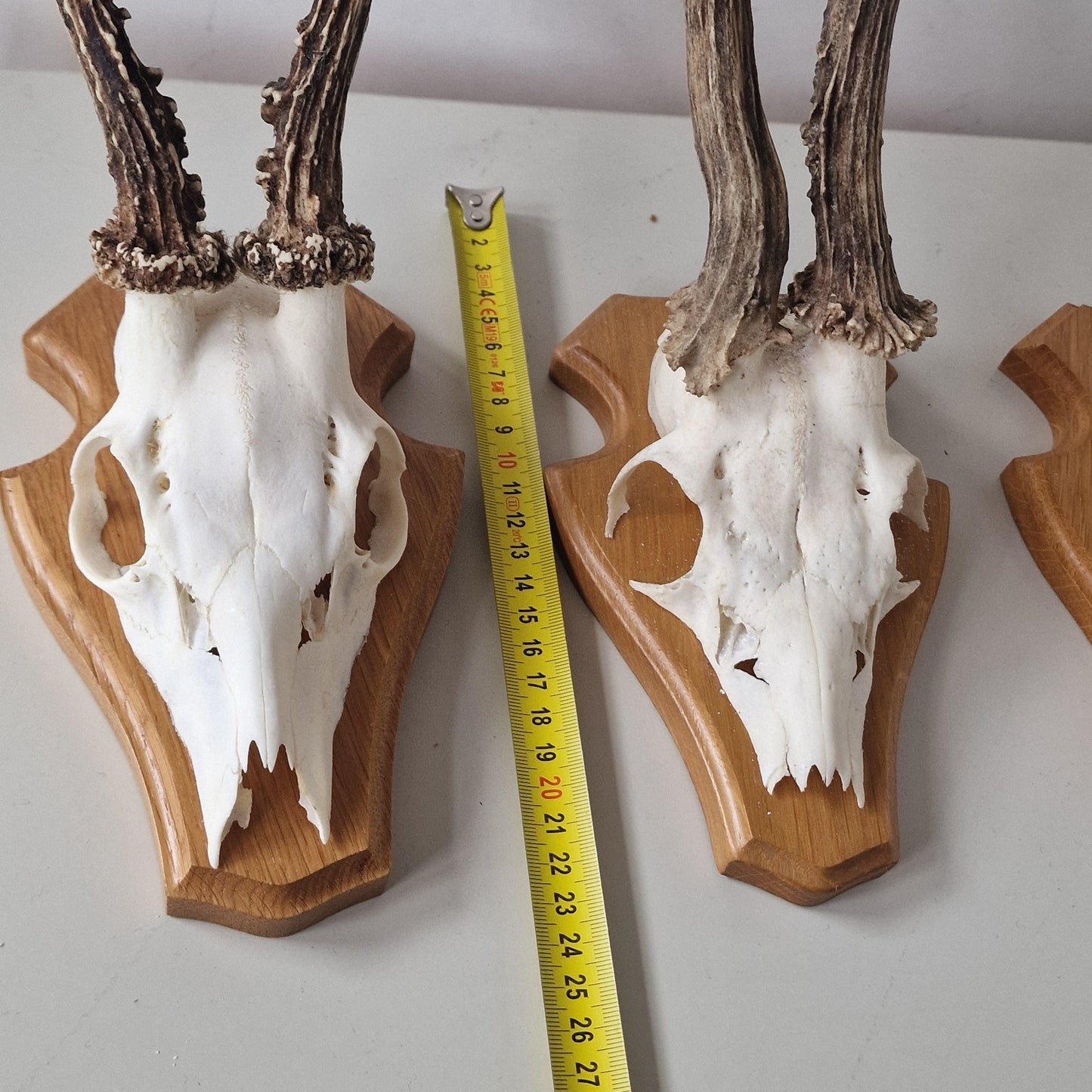 Deer Antler Mounts on Wood Shield, Hunting Decor (Set of 3)