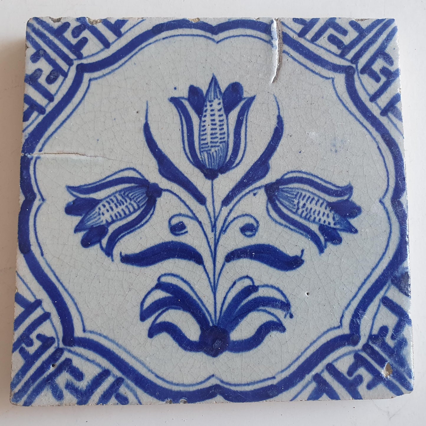 Antieke 17e eeuwse Delft tulpentegel  , antique dutch tile    th1620