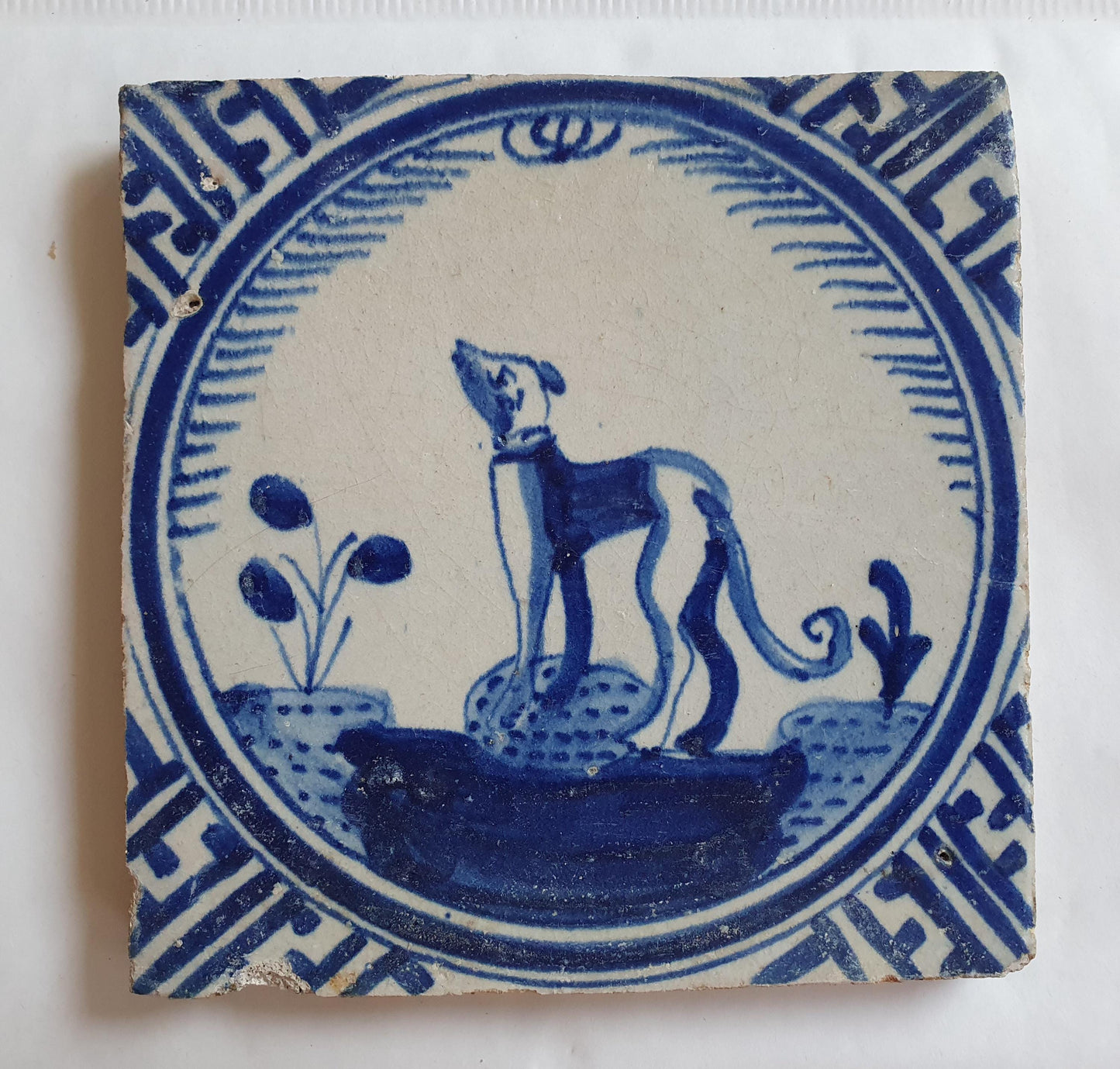 Antique Dutch Tile - Rotterdam Kroontegel, Rotterdamse,  dog , cirkel - Dated around 1625