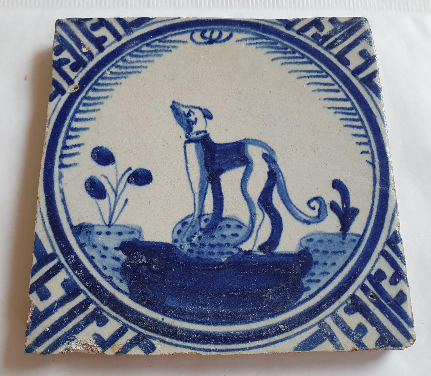 Antique Dutch Tile - Rotterdam Kroontegel, Rotterdamse,  dog , cirkel - Dated around 1625