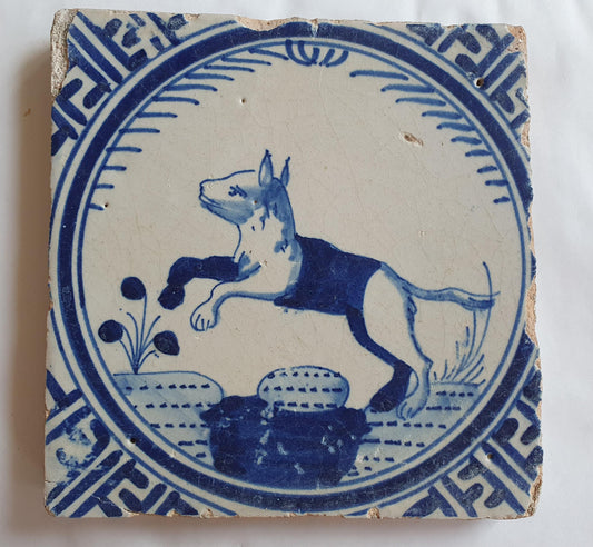 Antique Dutch Tile - Rotterdam Kroontegel, Rotterdamse,  fox , cirkel - Dated around 1625