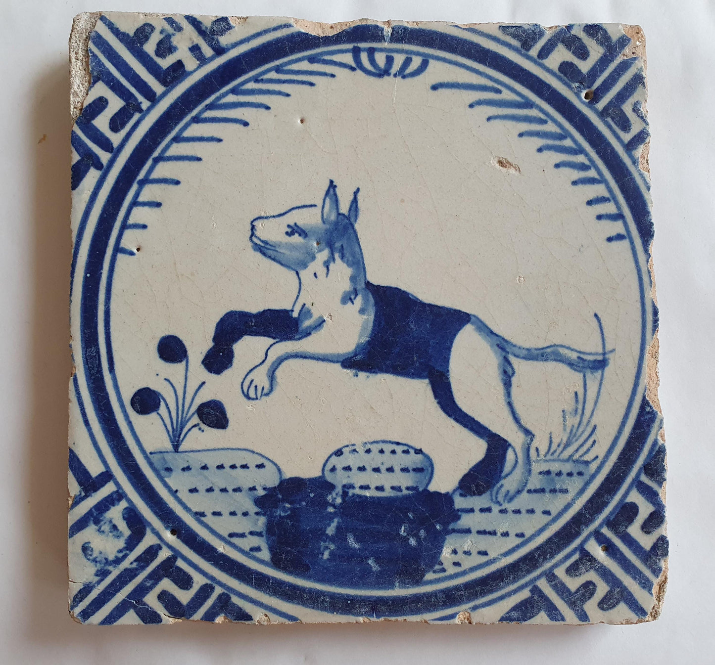 Antique Dutch Tile - Rotterdam Kroontegel, Rotterdamse,  fox , cirkel - Dated around 1625