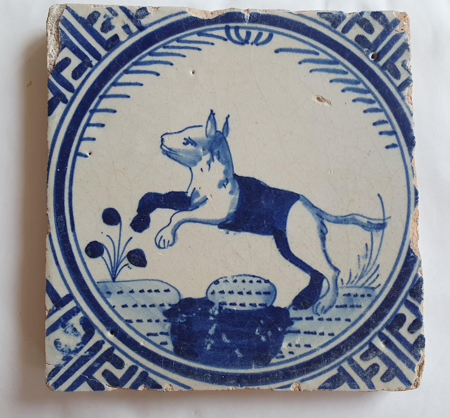 Antique Dutch Tile - Rotterdam Kroontegel, Rotterdamse,  fox , cirkel - Dated around 1625