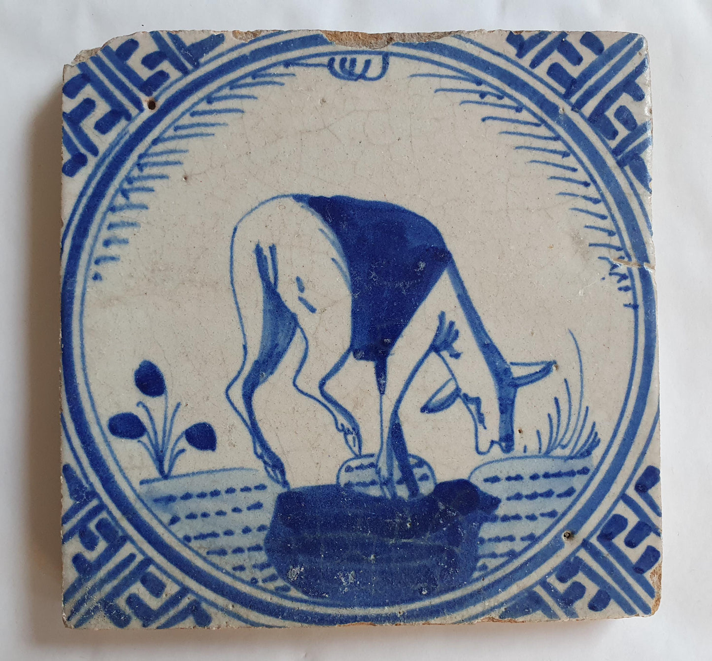Antique Dutch Tile - Rotterdam Kroontegel, Rotterdamse,  roe , cirkel - Dated around 1625