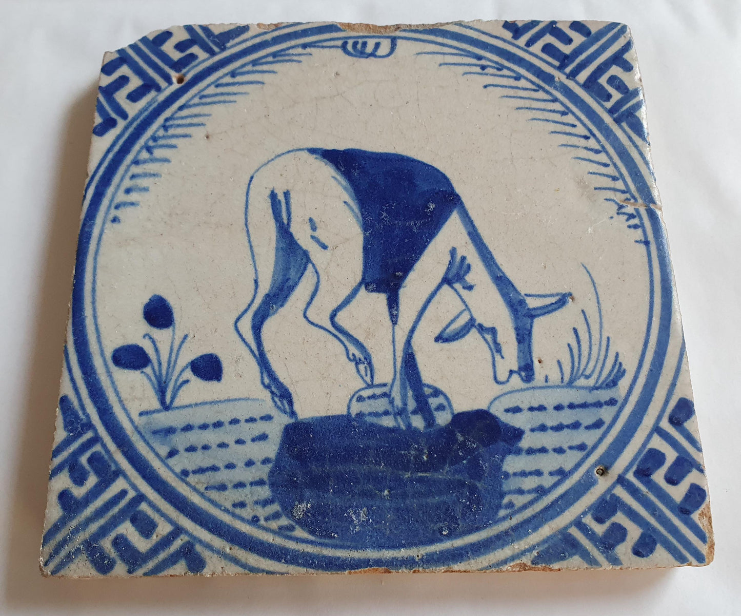 Antique Dutch Tile - Rotterdam Kroontegel, Rotterdamse,  roe , cirkel - Dated around 1625