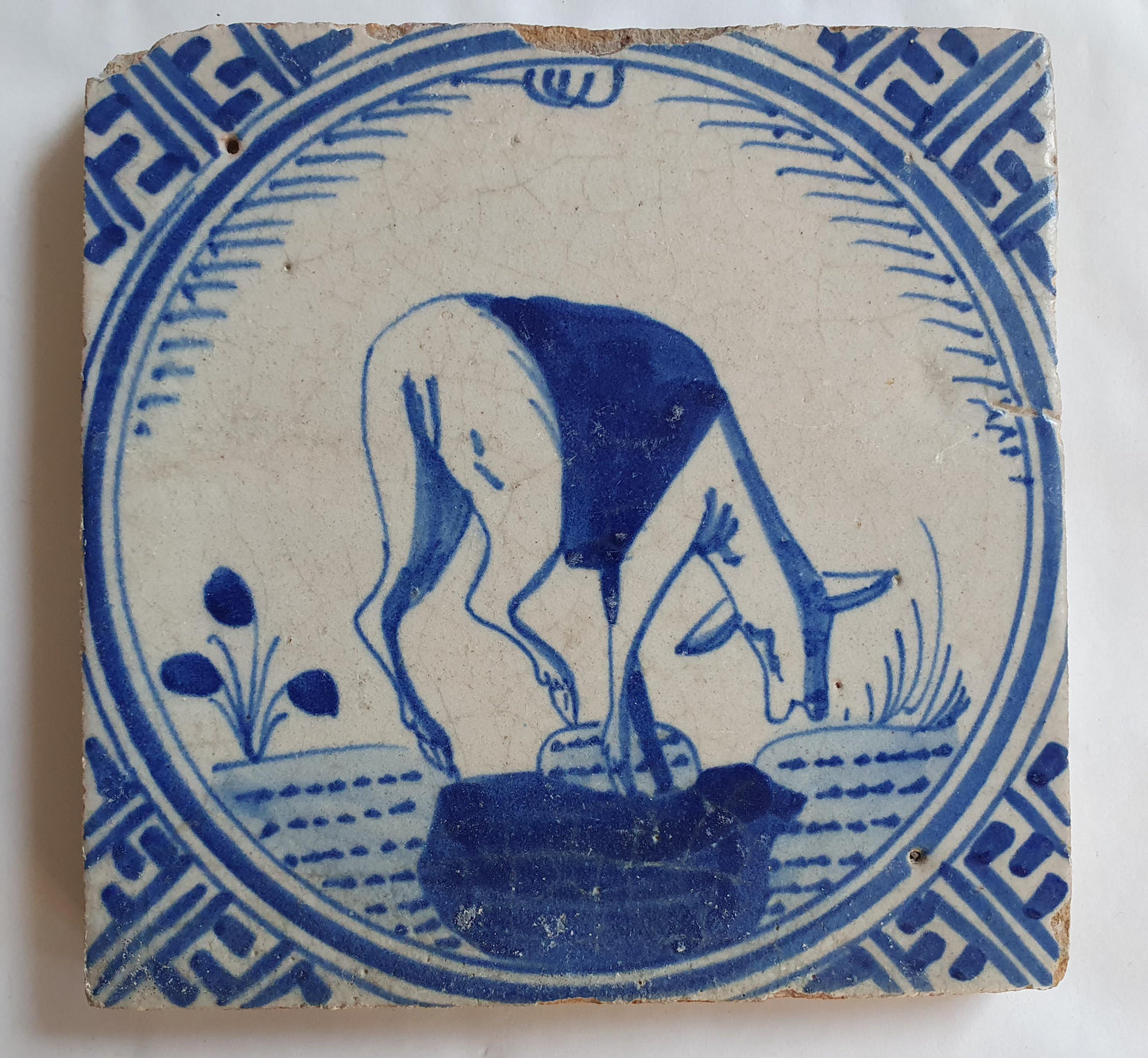 Antique Dutch Tile - Rotterdam Kroontegel, Rotterdamse,  roe , cirkel - Dated around 1625