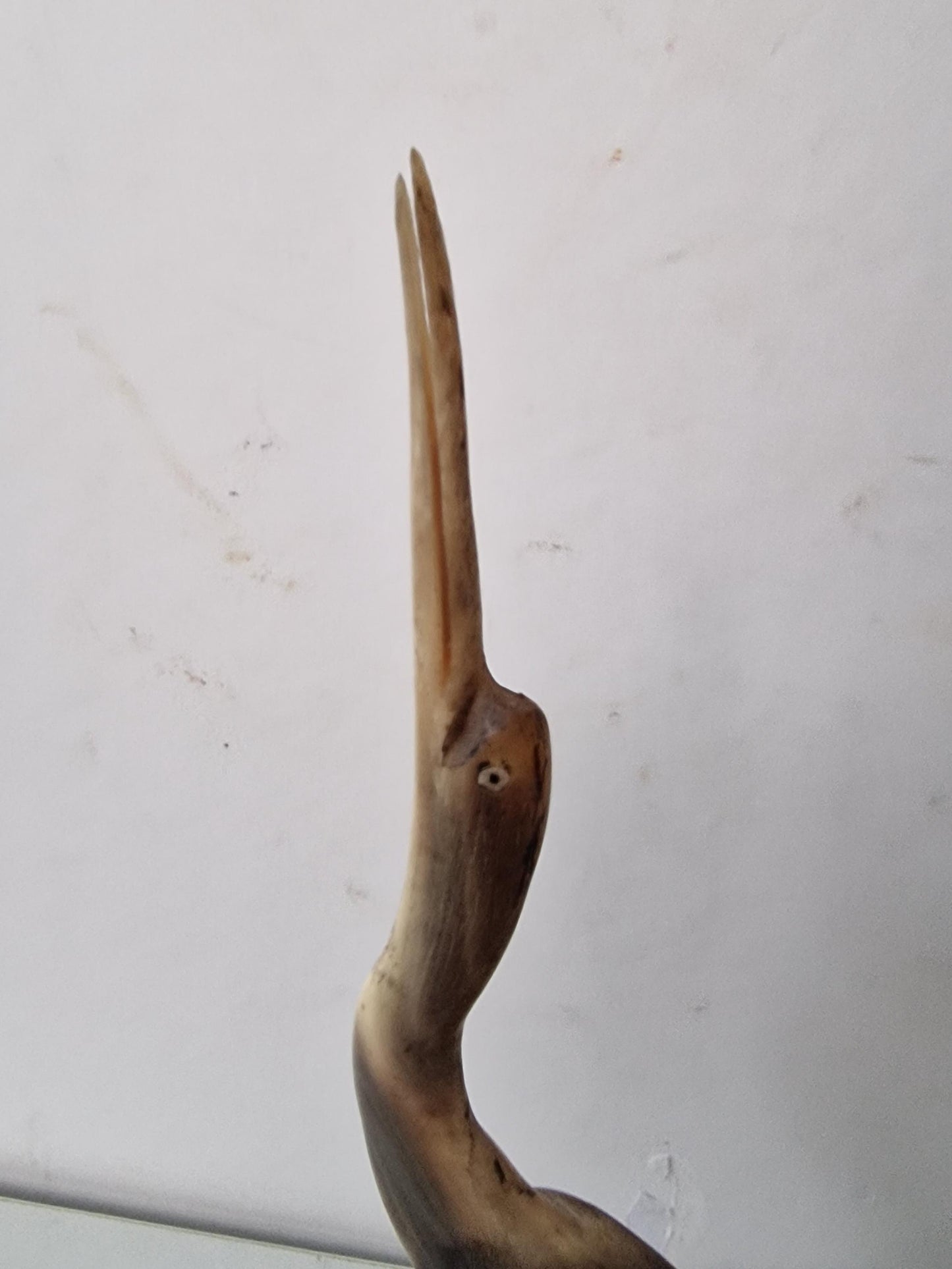 bone crane bird old