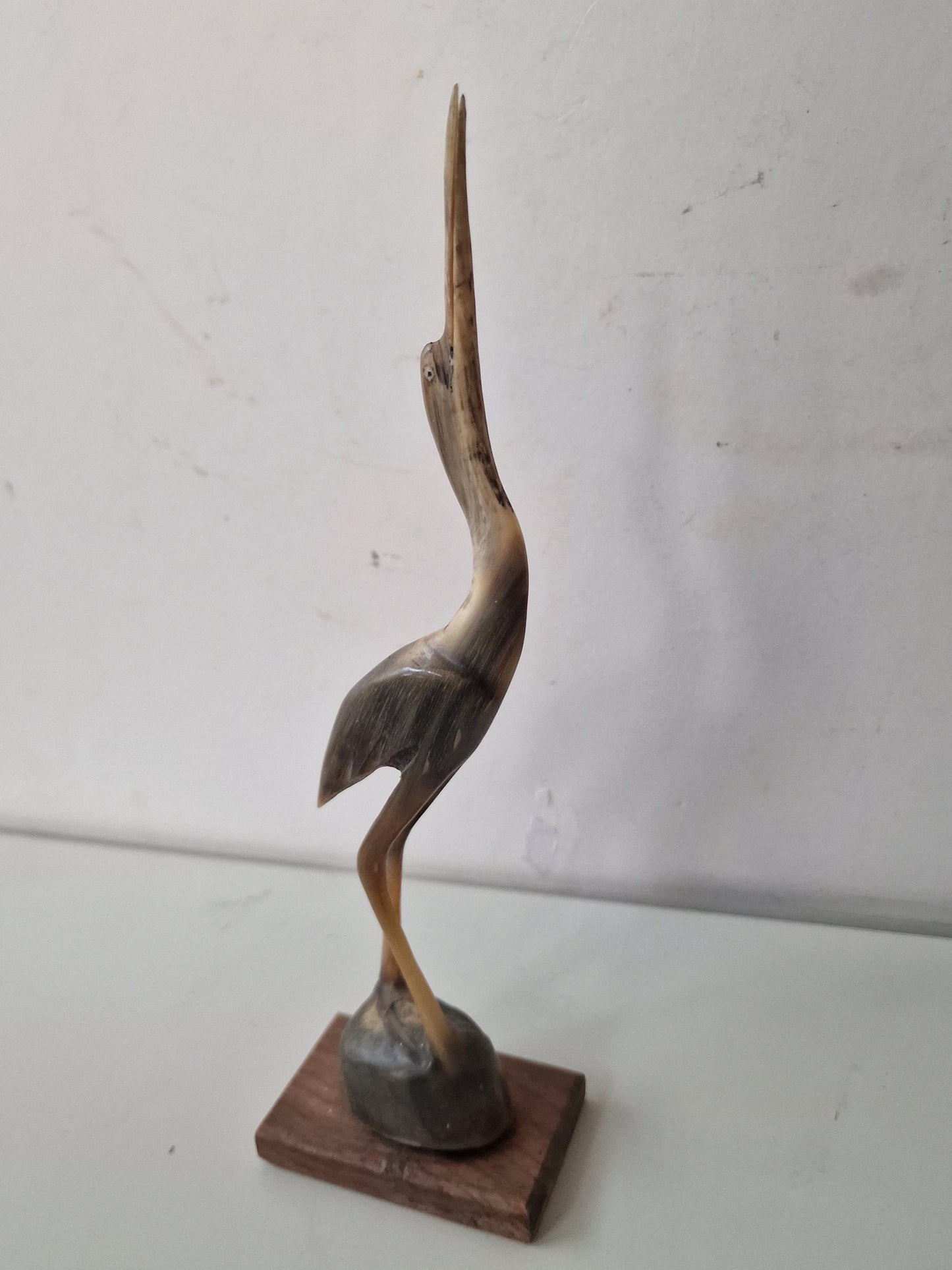bone crane bird old