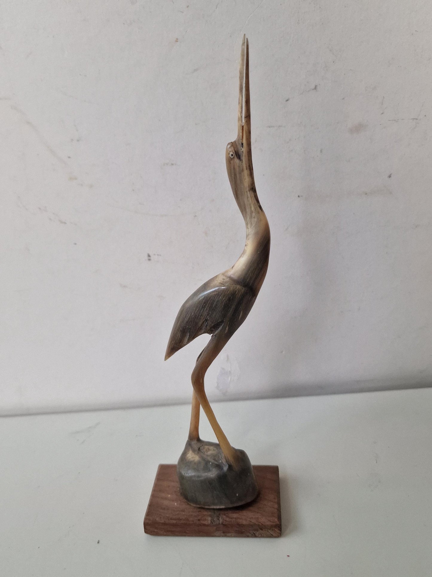 bone crane bird old