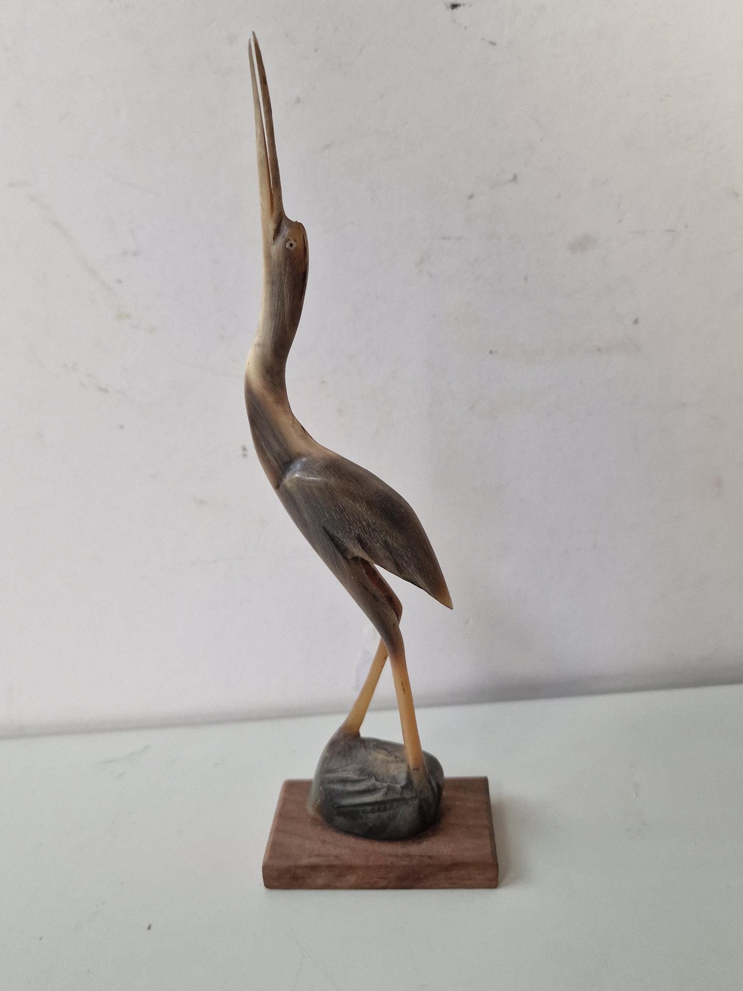 bone crane bird old