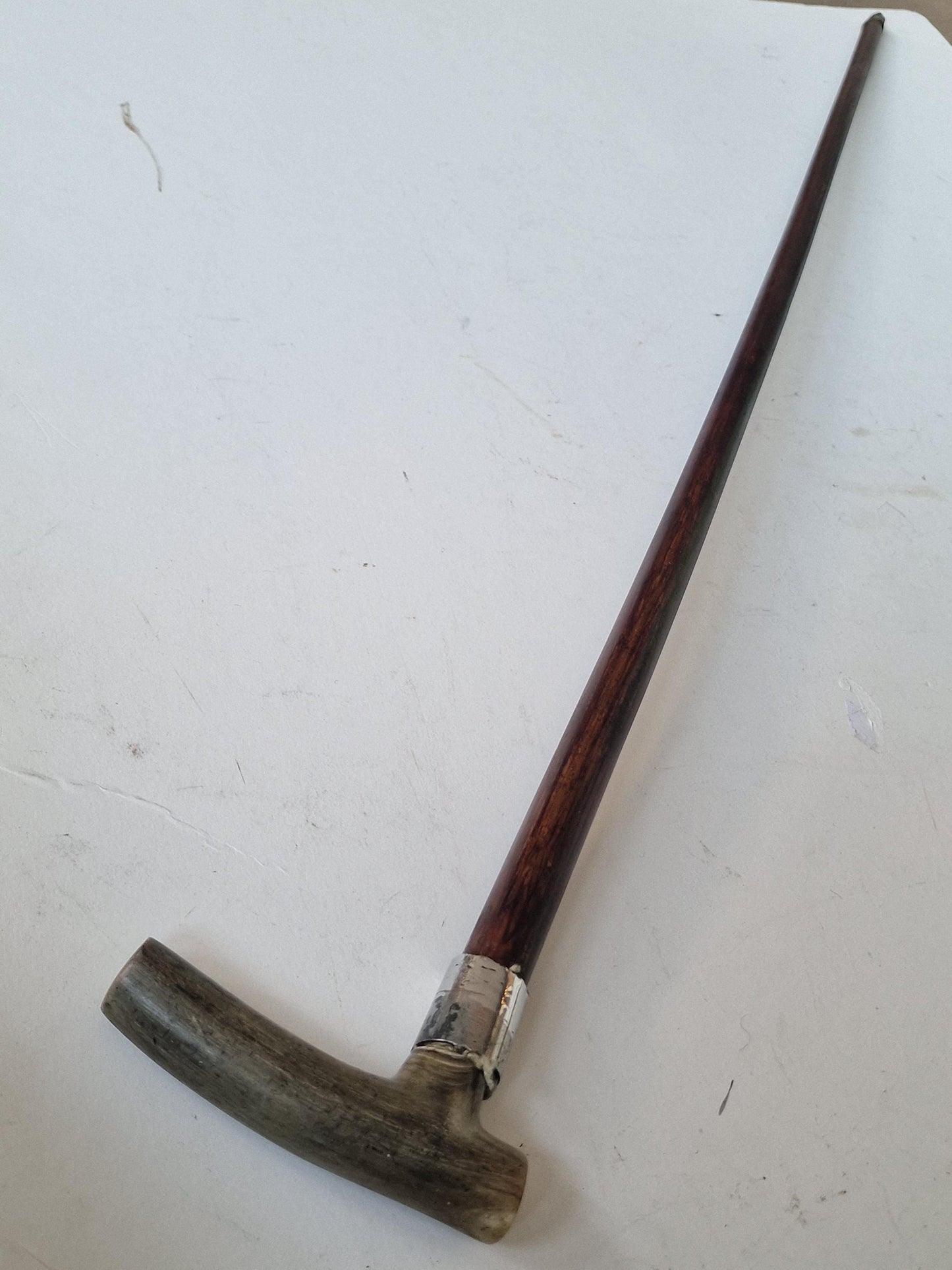 antique walking stick with deer bone , european collection, gentlemen's flannel stick