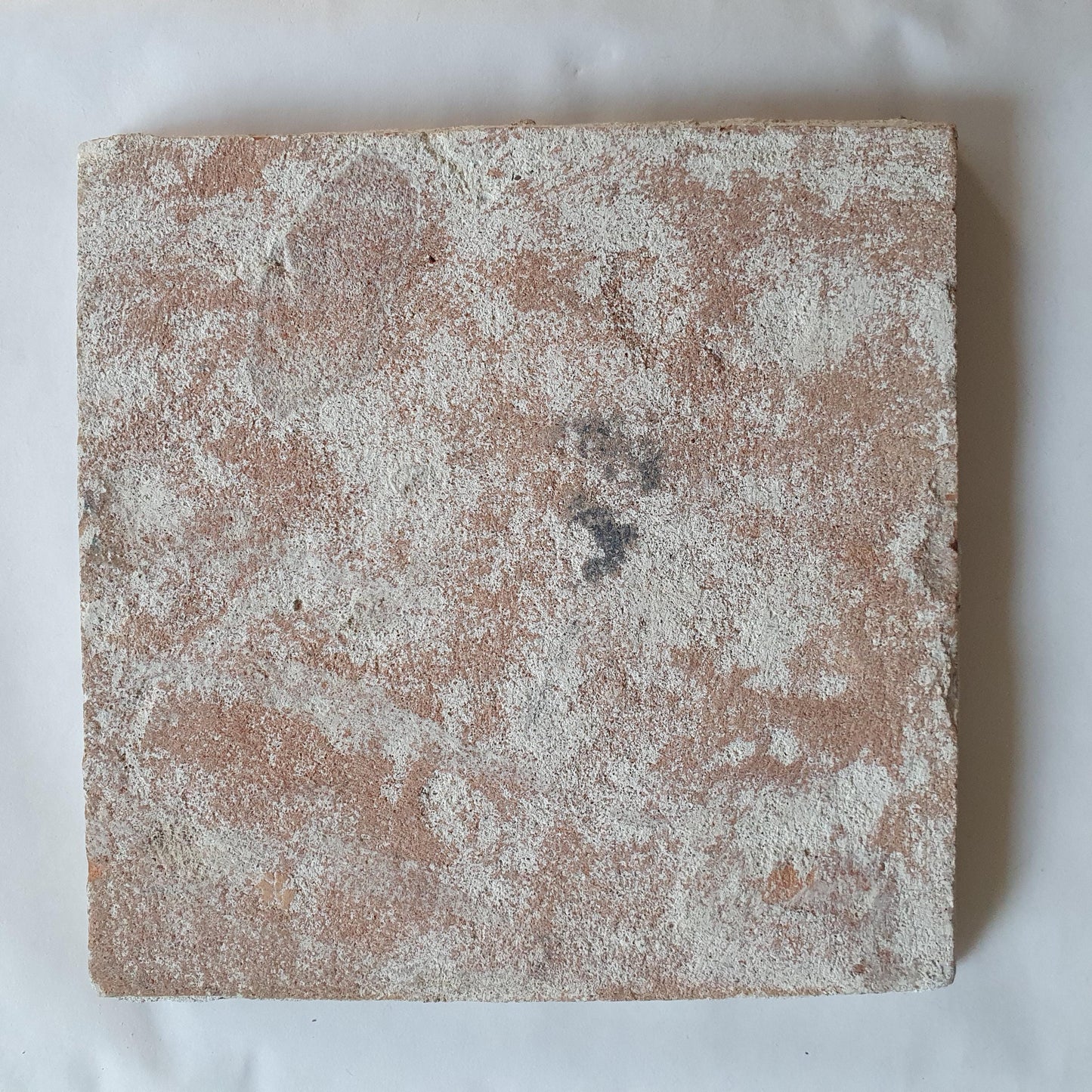 Antique Dutch Tile - Rotterdam Kroontegel, Rotterdamse,  dog , cirkel - Dated around 1625