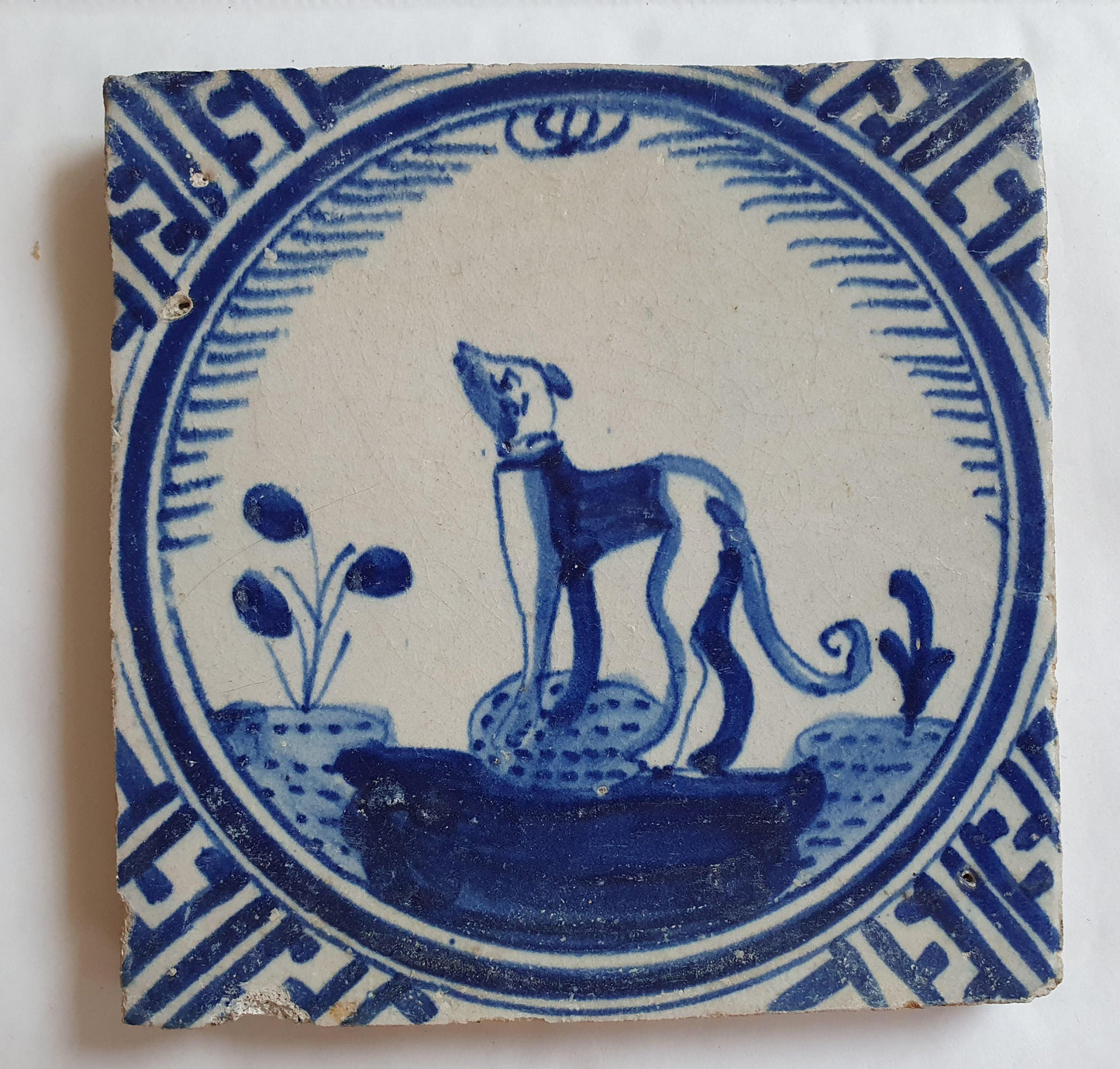 Antique Dutch Tile - Rotterdam Kroontegel, Rotterdamse,  dog , cirkel - Dated around 1625