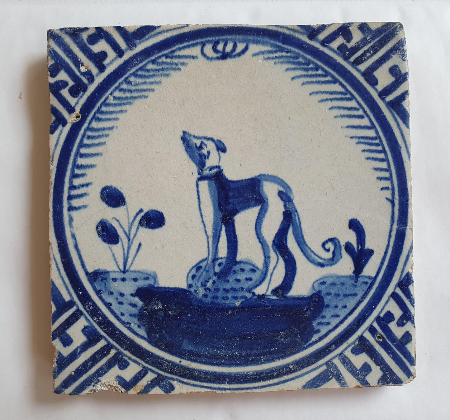 Antique Dutch Tile - Rotterdam Kroontegel, Rotterdamse,  dog , cirkel - Dated around 1625