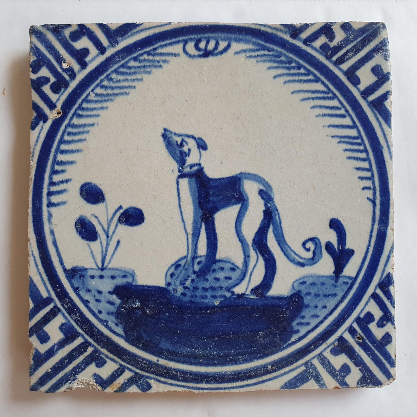 Antique Dutch Tile - Rotterdam Kroontegel, Rotterdamse,  dog , cirkel - Dated around 1625