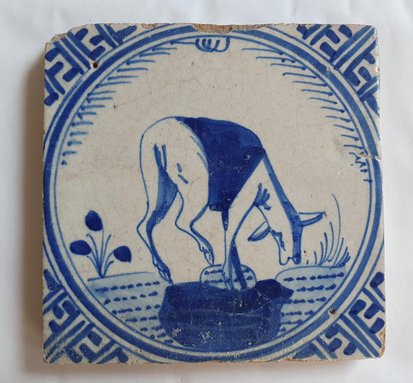 Antique Dutch Tile - Rotterdam Kroontegel, Rotterdamse,  roe , cirkel - Dated around 1625