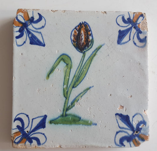 dutch flower  Gouda rare delft polychrome tile, 1620