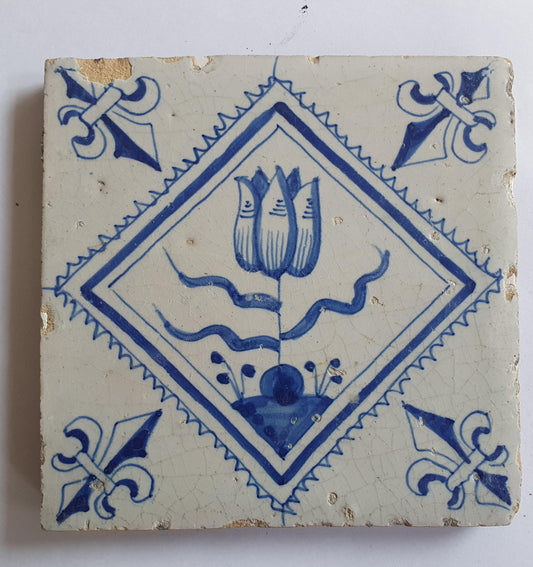 17th Century Dutch Delft Tile, Tulip Design